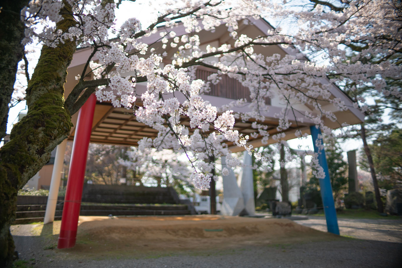 f:id:Paradisia:20200404174128j:plain