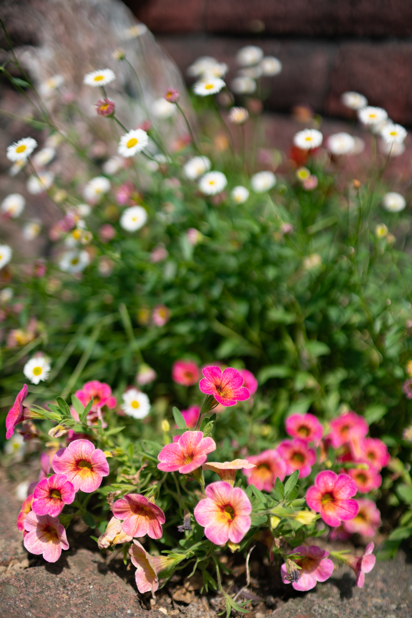 f:id:Paradisia:20200523163159j:plain f:id:Paradisia:20200523163159j:plain