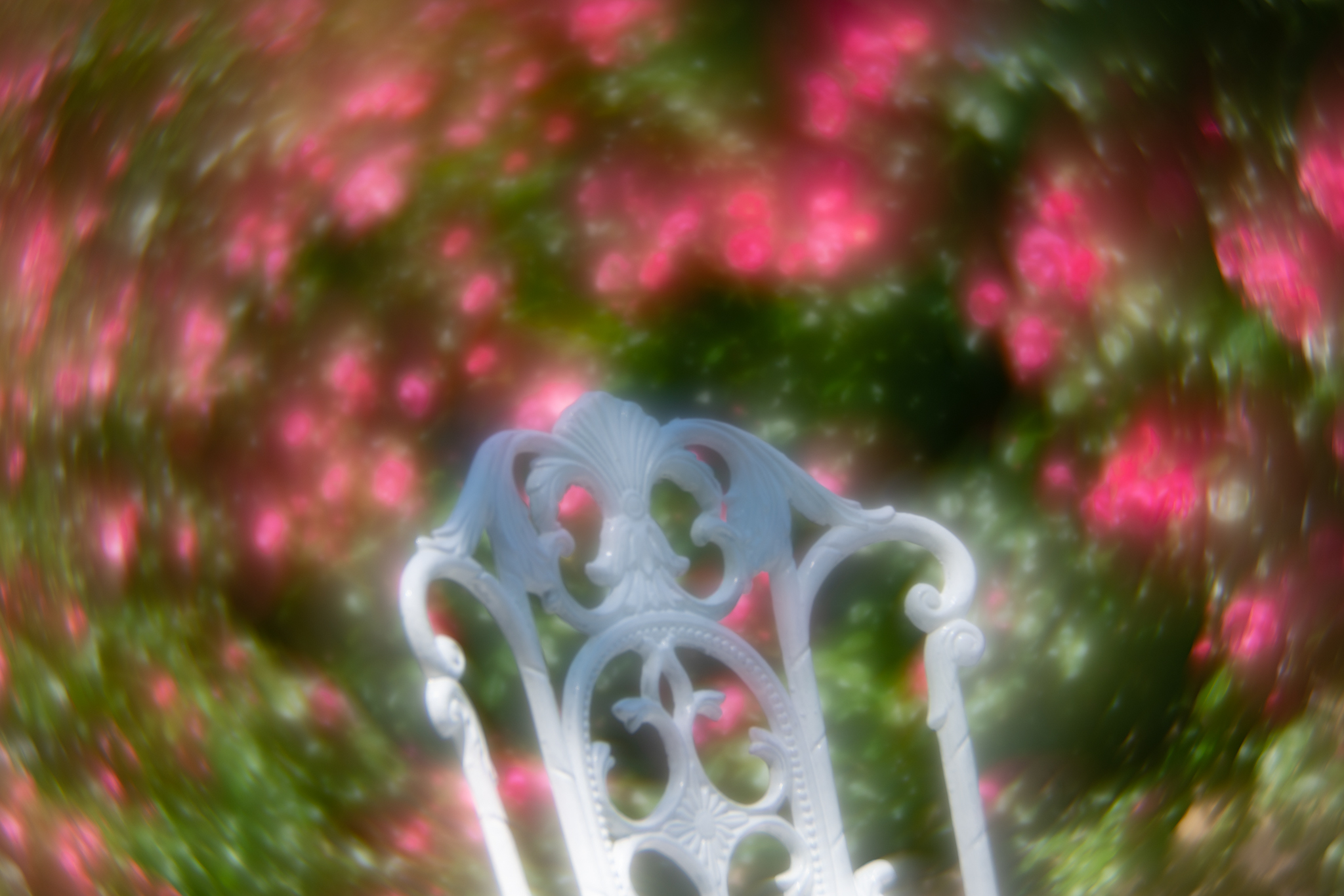 f:id:Paradisia:20200530161330j:plain