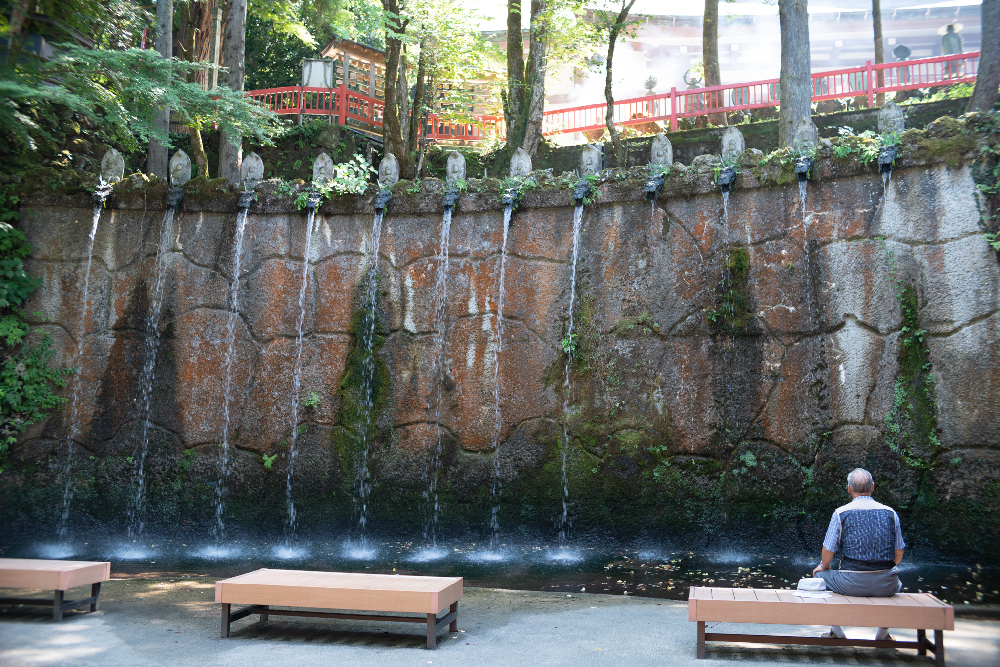 f:id:Paradisia:20200902130031j:plain