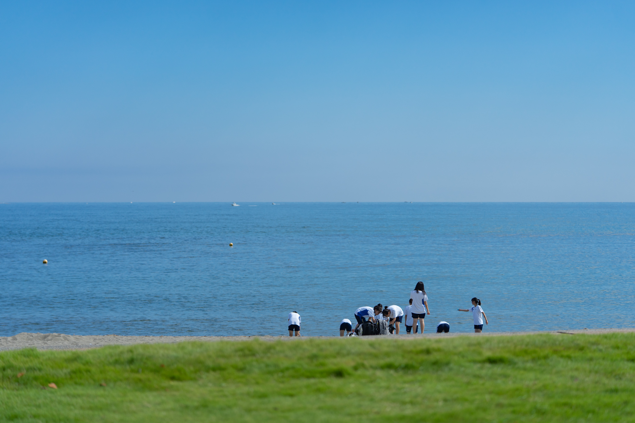 f:id:Paradisia:20200906123607j:plain