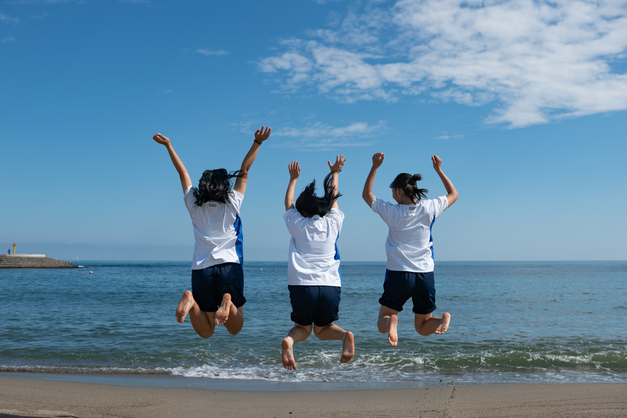 f:id:Paradisia:20200906123700j:plain