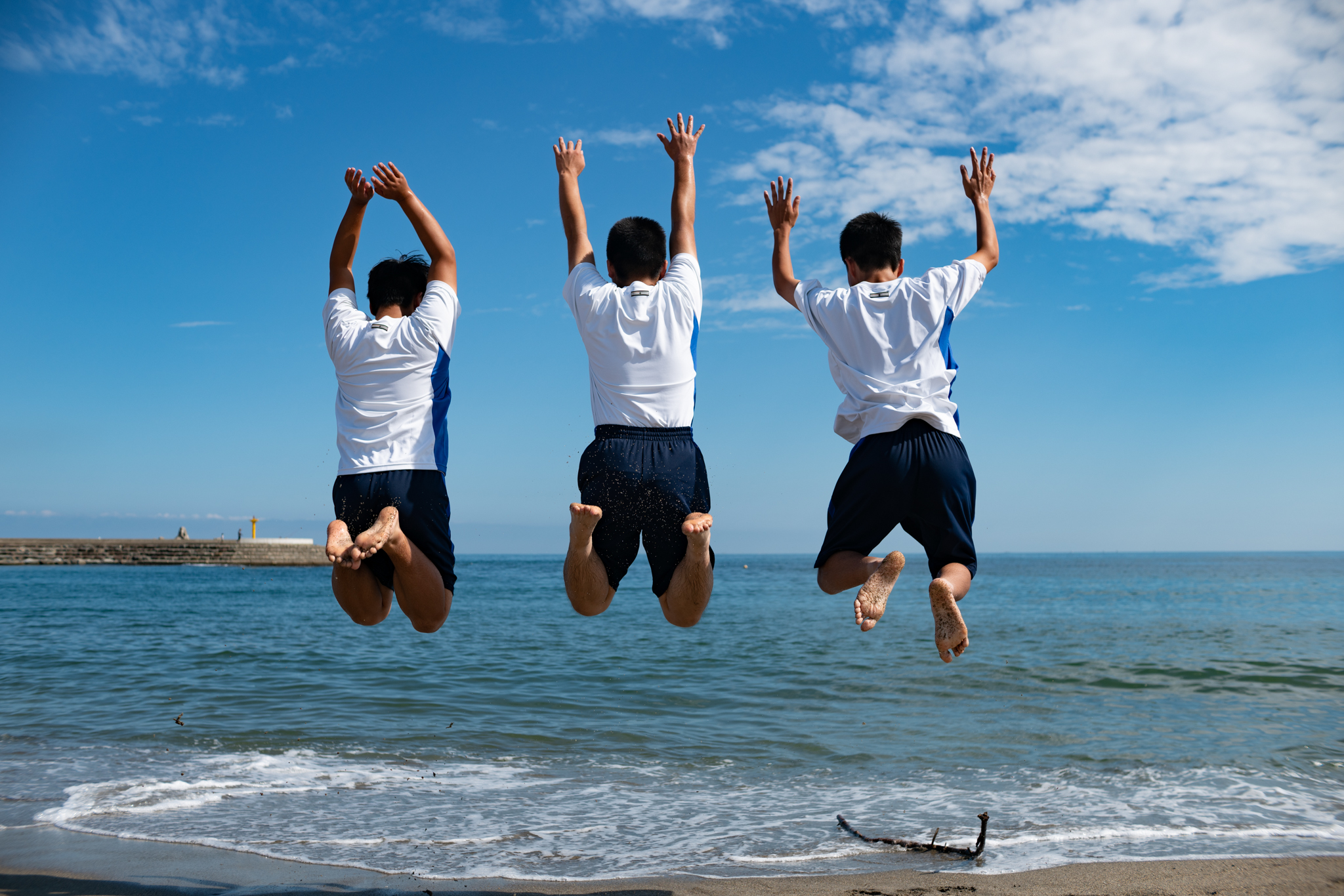 f:id:Paradisia:20200906123715j:plain