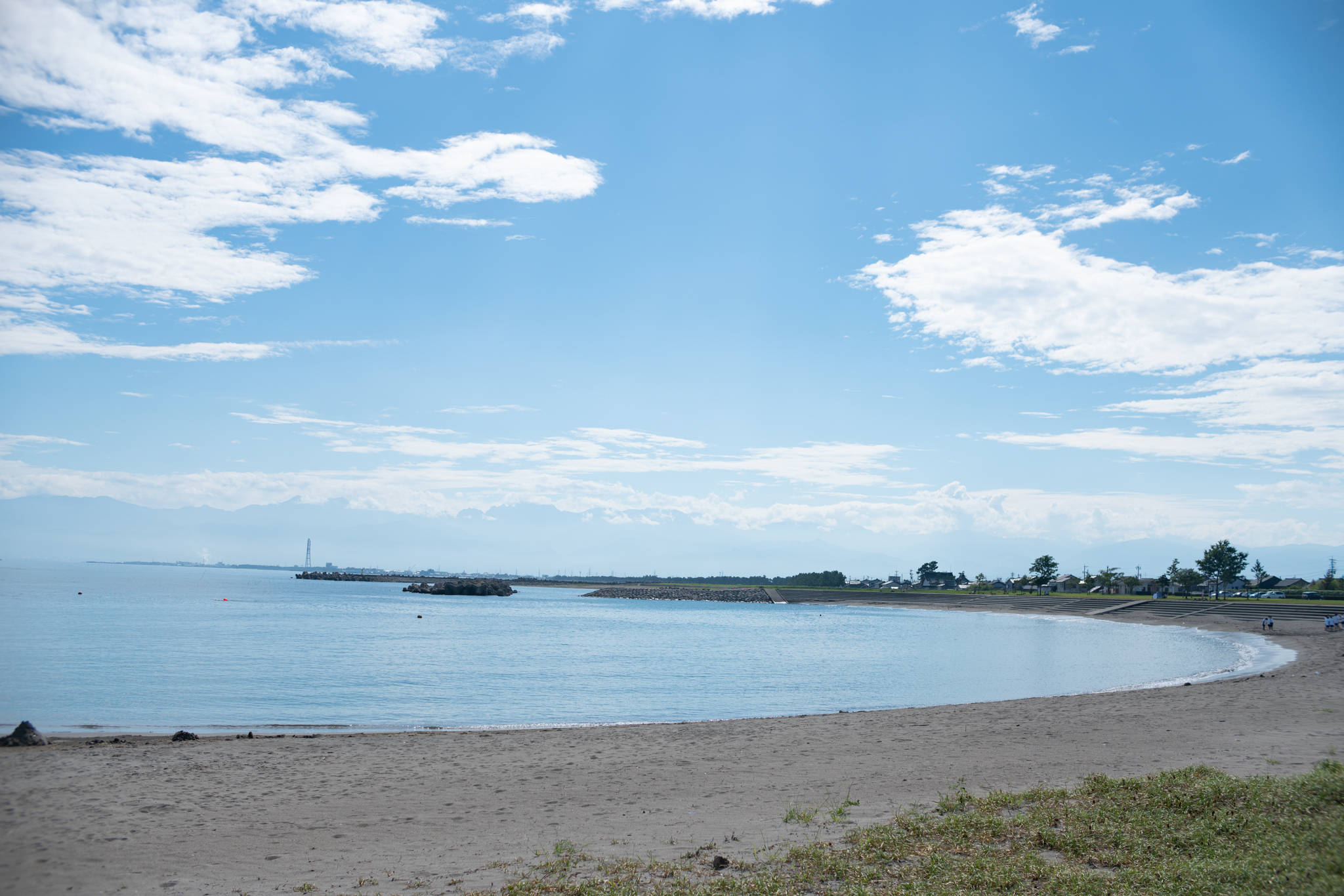 f:id:Paradisia:20200906123734j:plain