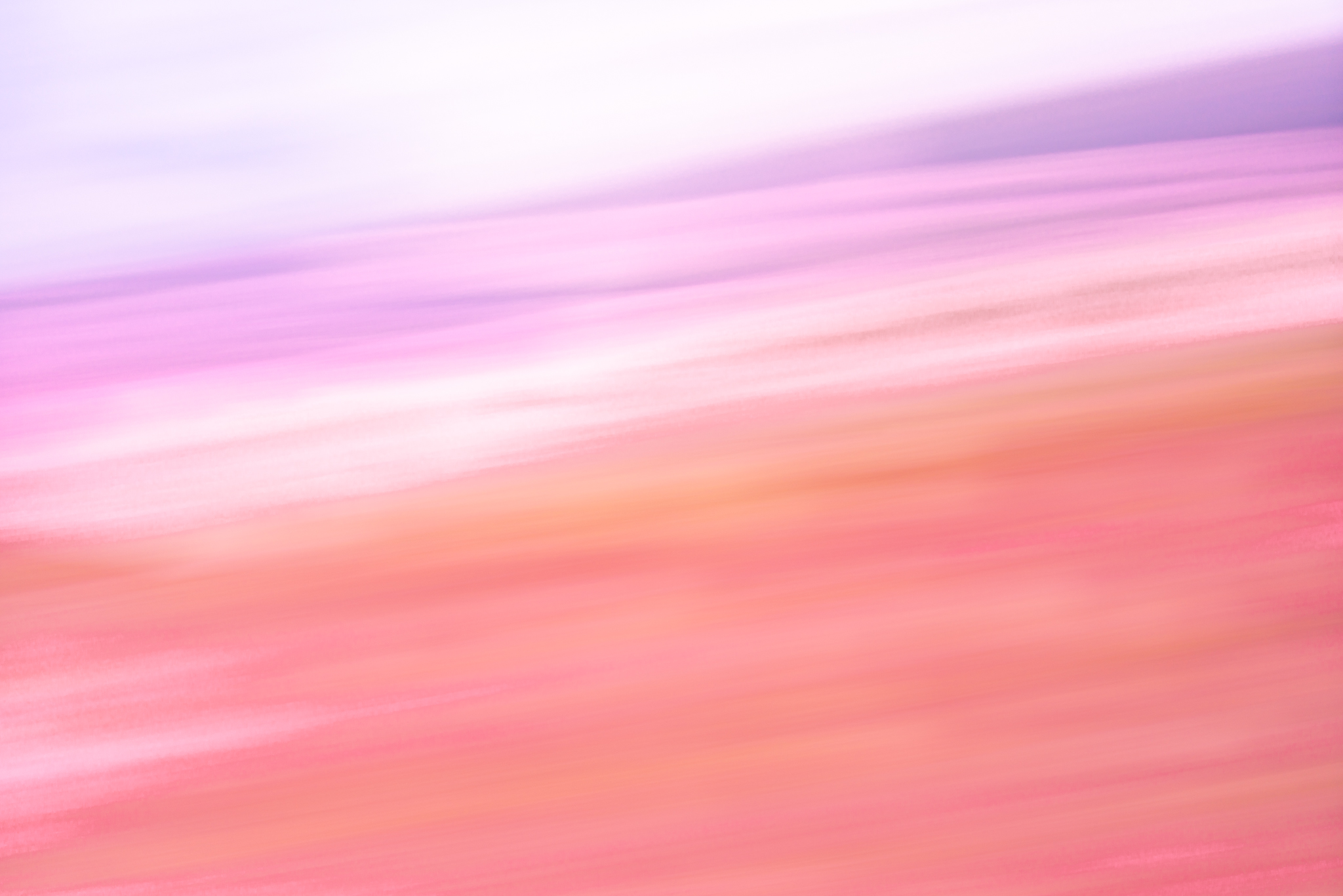 f:id:Paradisia:20201019173833j:plain