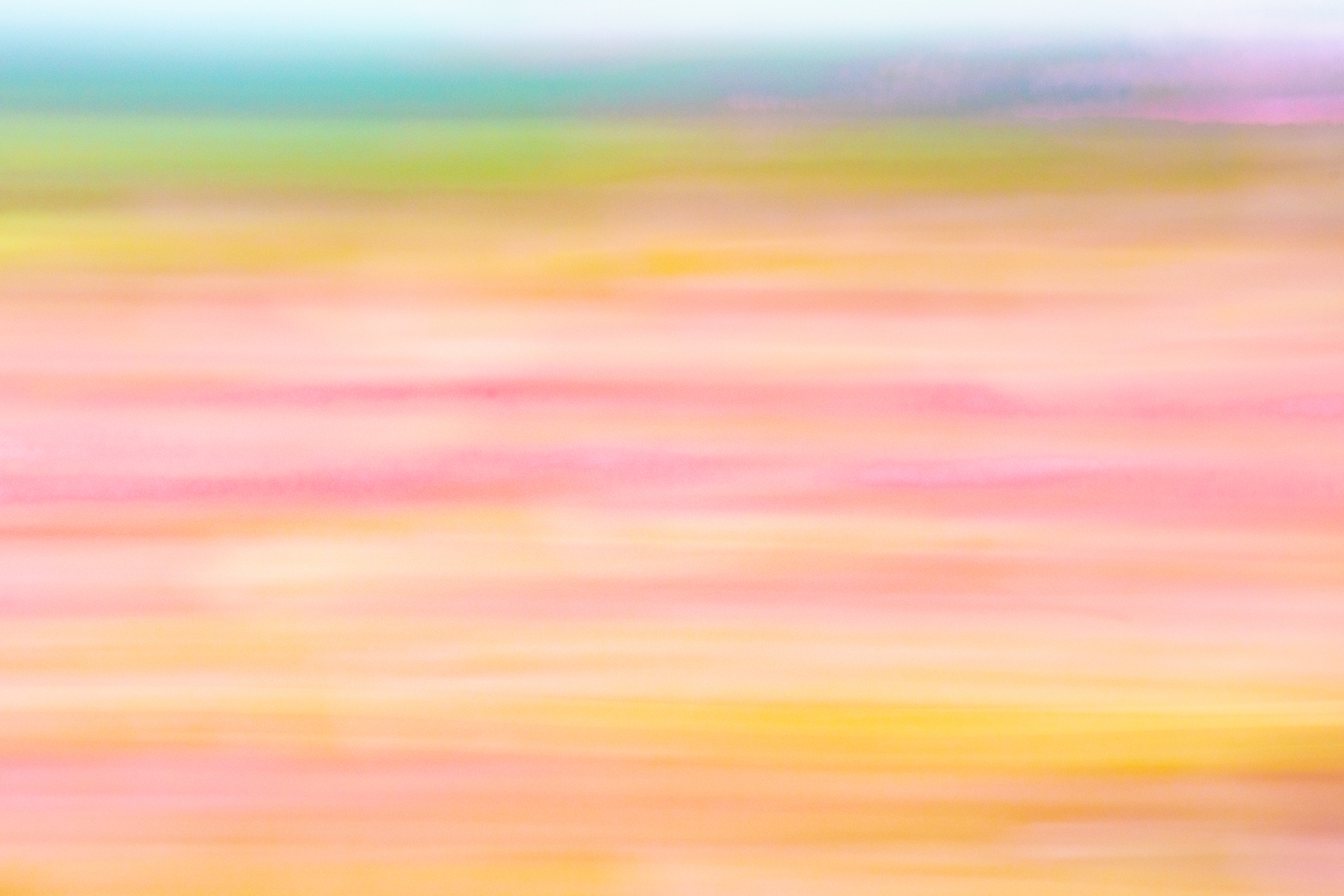 f:id:Paradisia:20201019175519j:plain