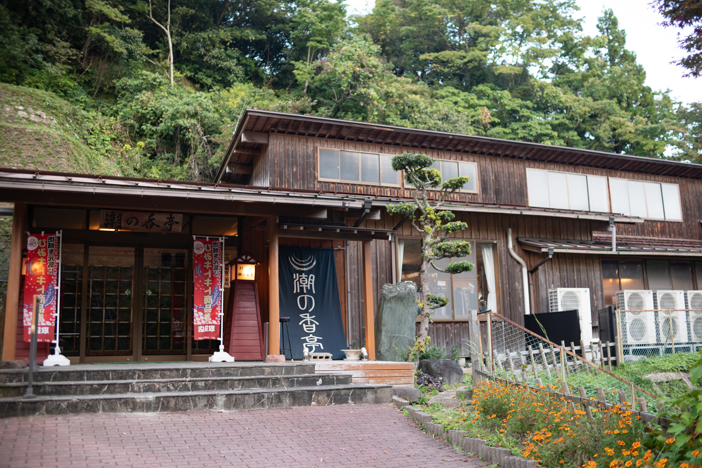 f:id:Paradisia:20201021143731j:plain