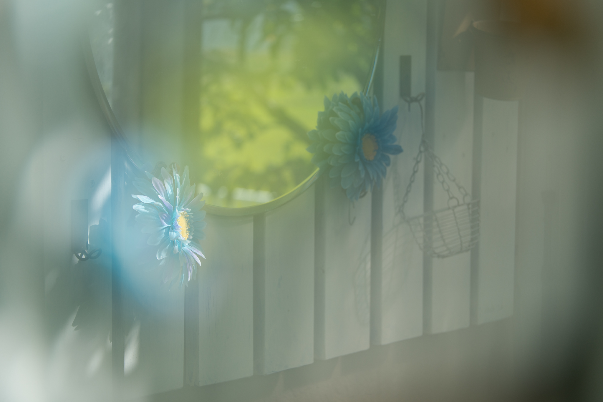 f:id:Paradisia:20201031183124j:plain
