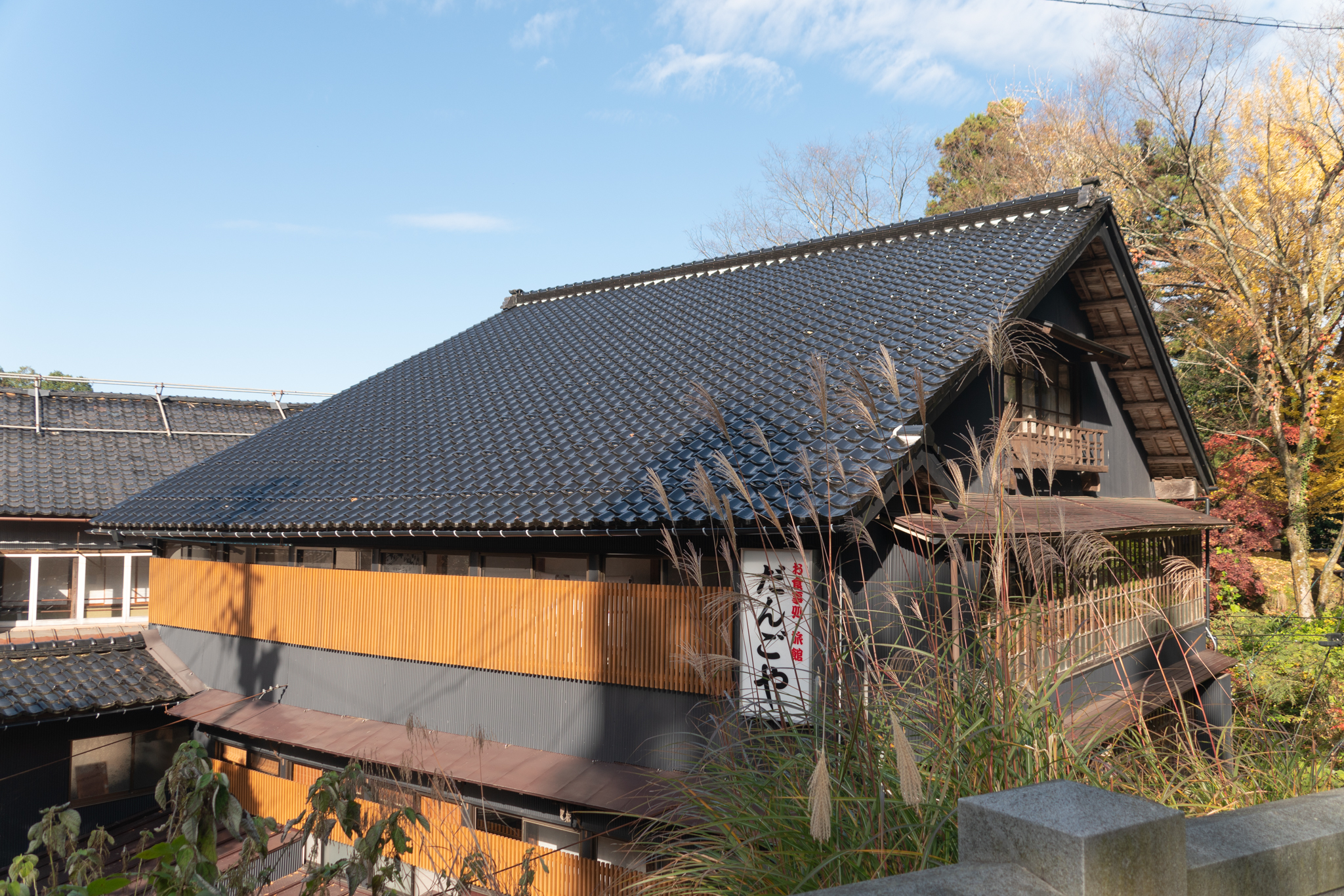 f:id:Paradisia:20201119145153j:plain