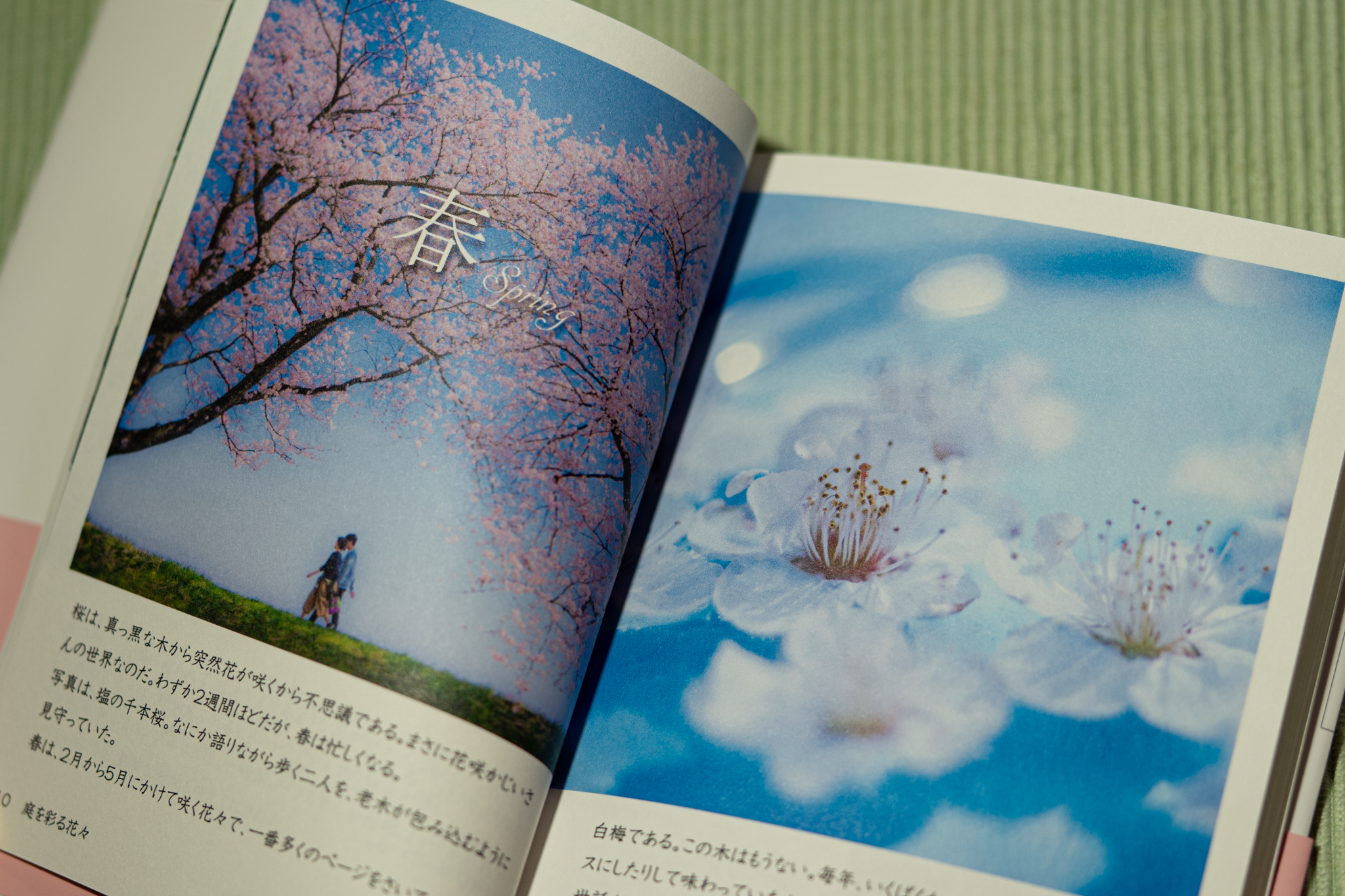 f:id:Paradisia:20201226103236j:plain