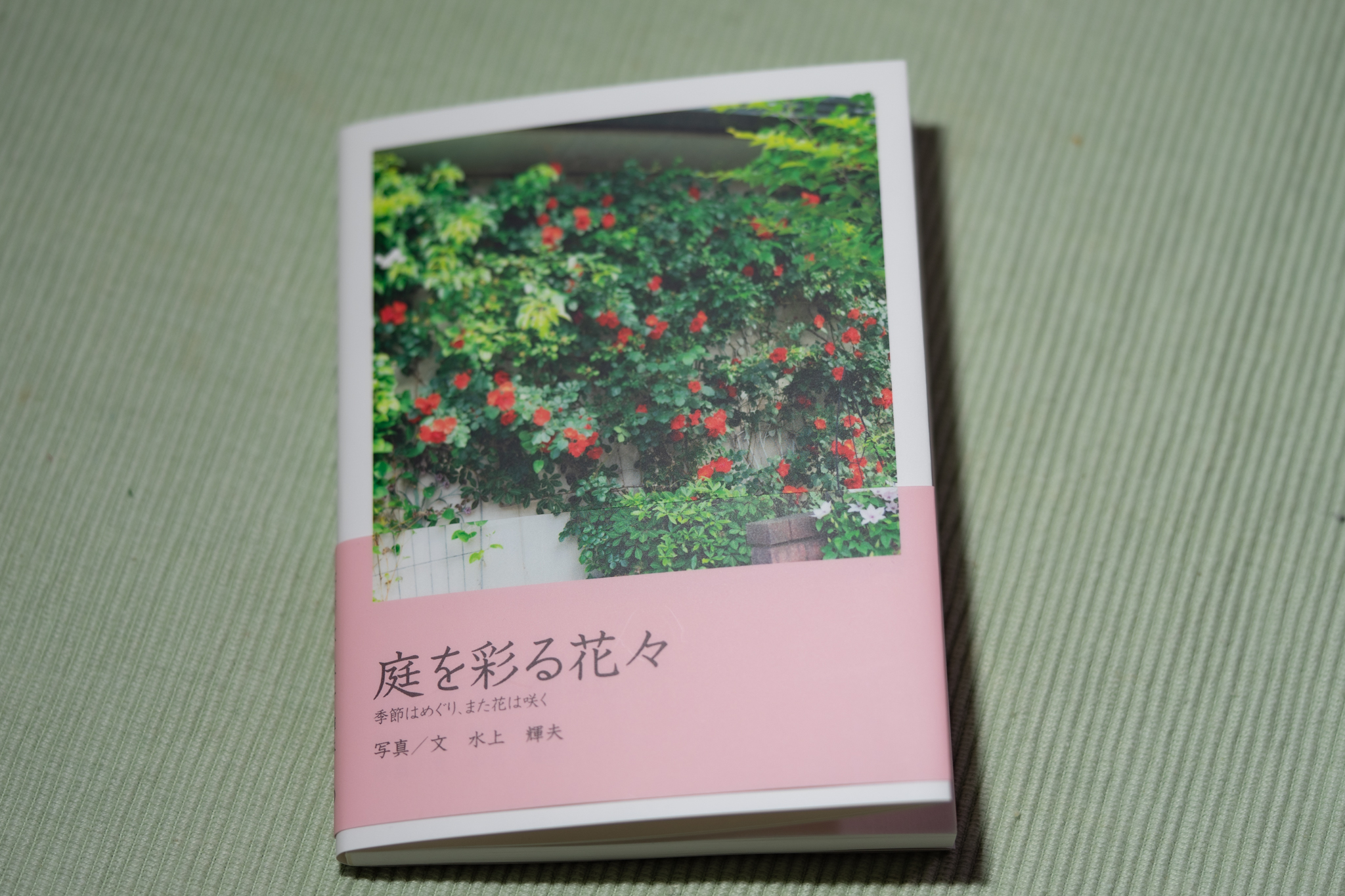 f:id:Paradisia:20201227133938j:plain