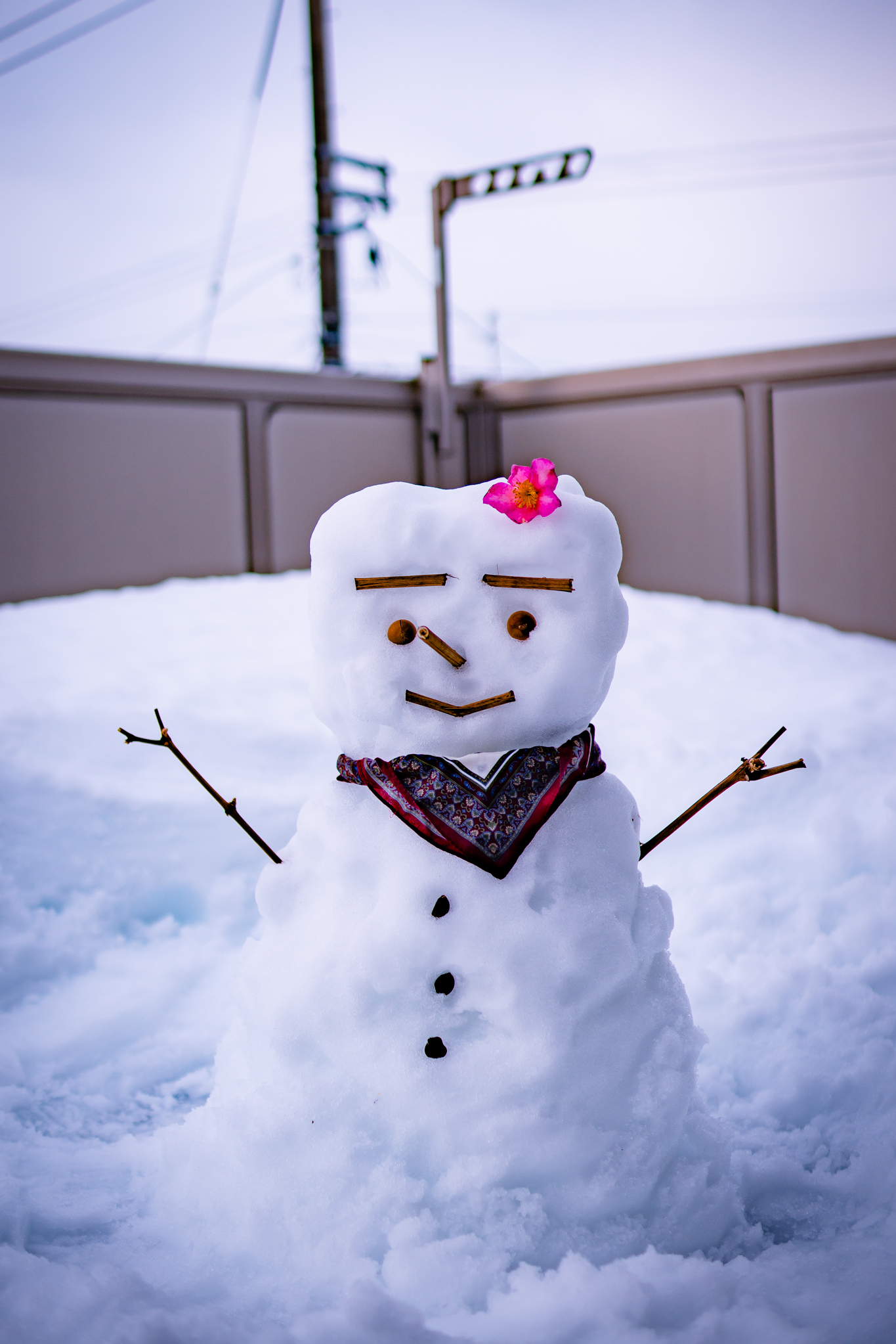 今シーズン初の雪だるま - 光と風と薔薇と