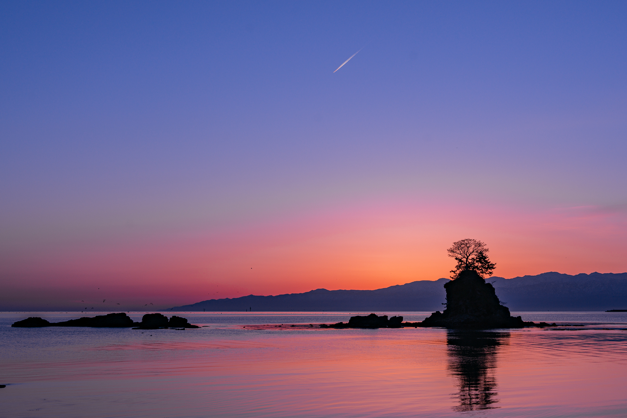 f:id:Paradisia:20210324075410j:plain