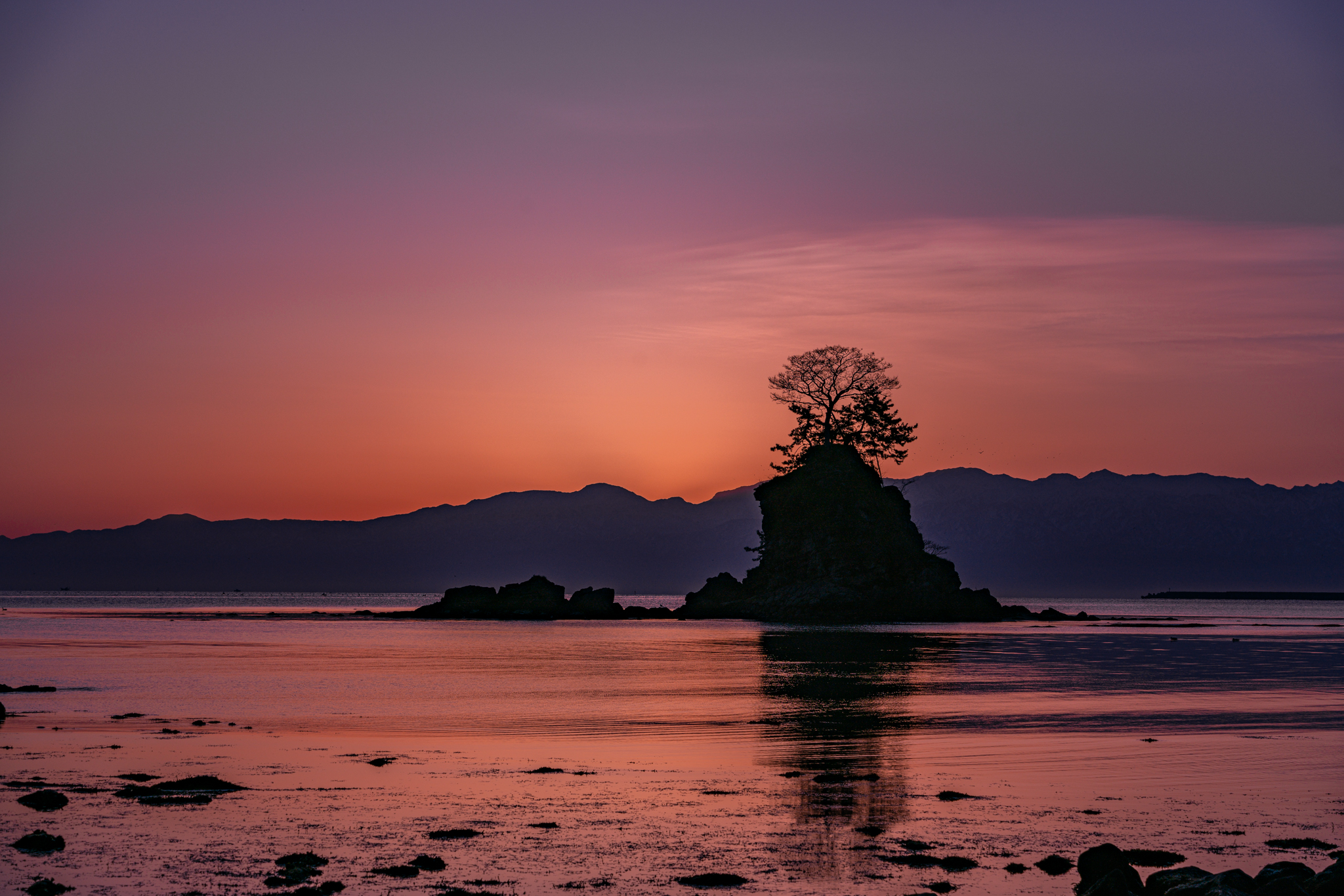 f:id:Paradisia:20210324075835j:plain