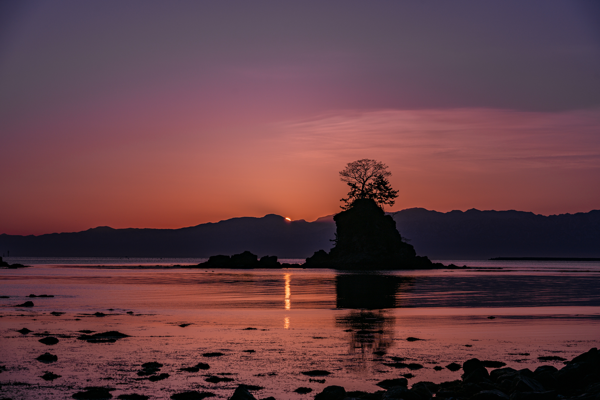 f:id:Paradisia:20210324075848j:plain