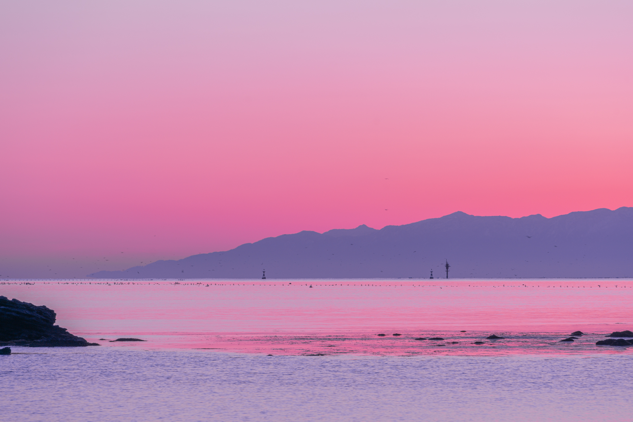 f:id:Paradisia:20210324080133j:plain