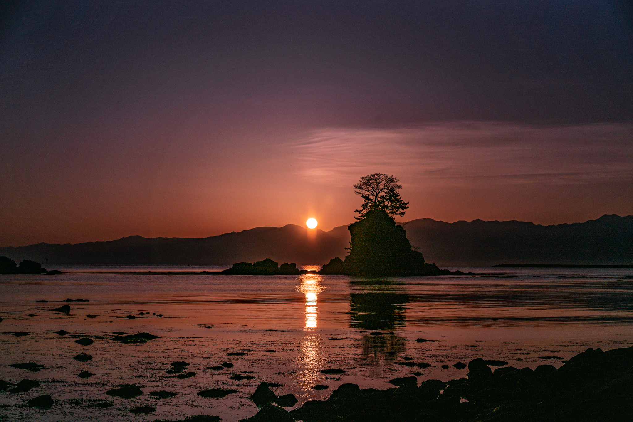 f:id:Paradisia:20210324172509j:plain