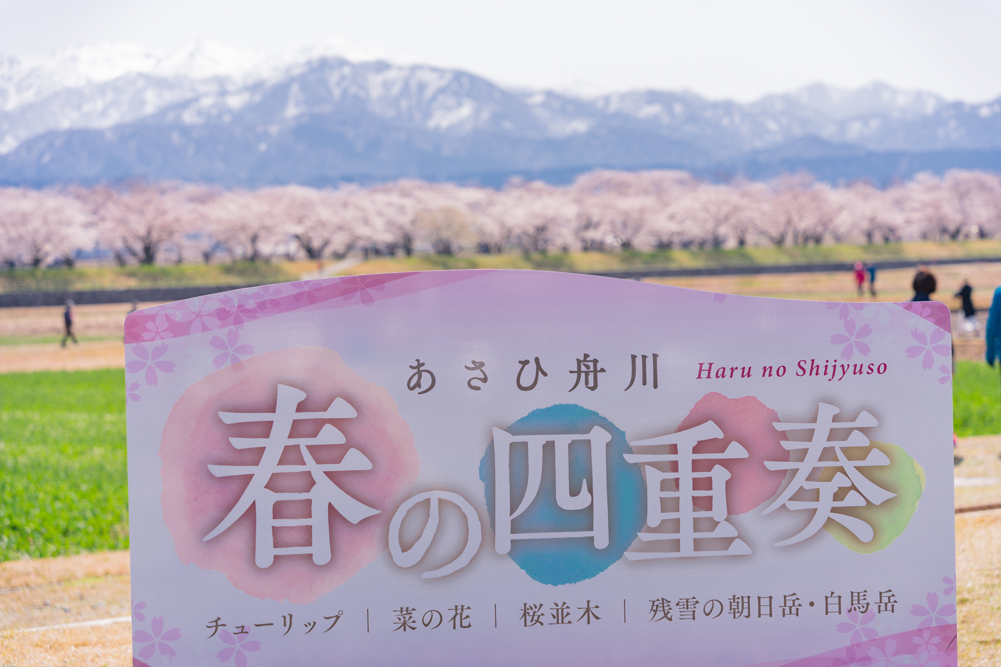 f:id:Paradisia:20210402061433j:plain