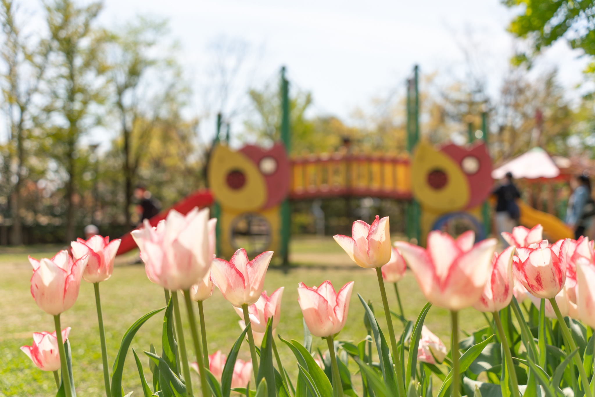 f:id:Paradisia:20210423160403j:plain