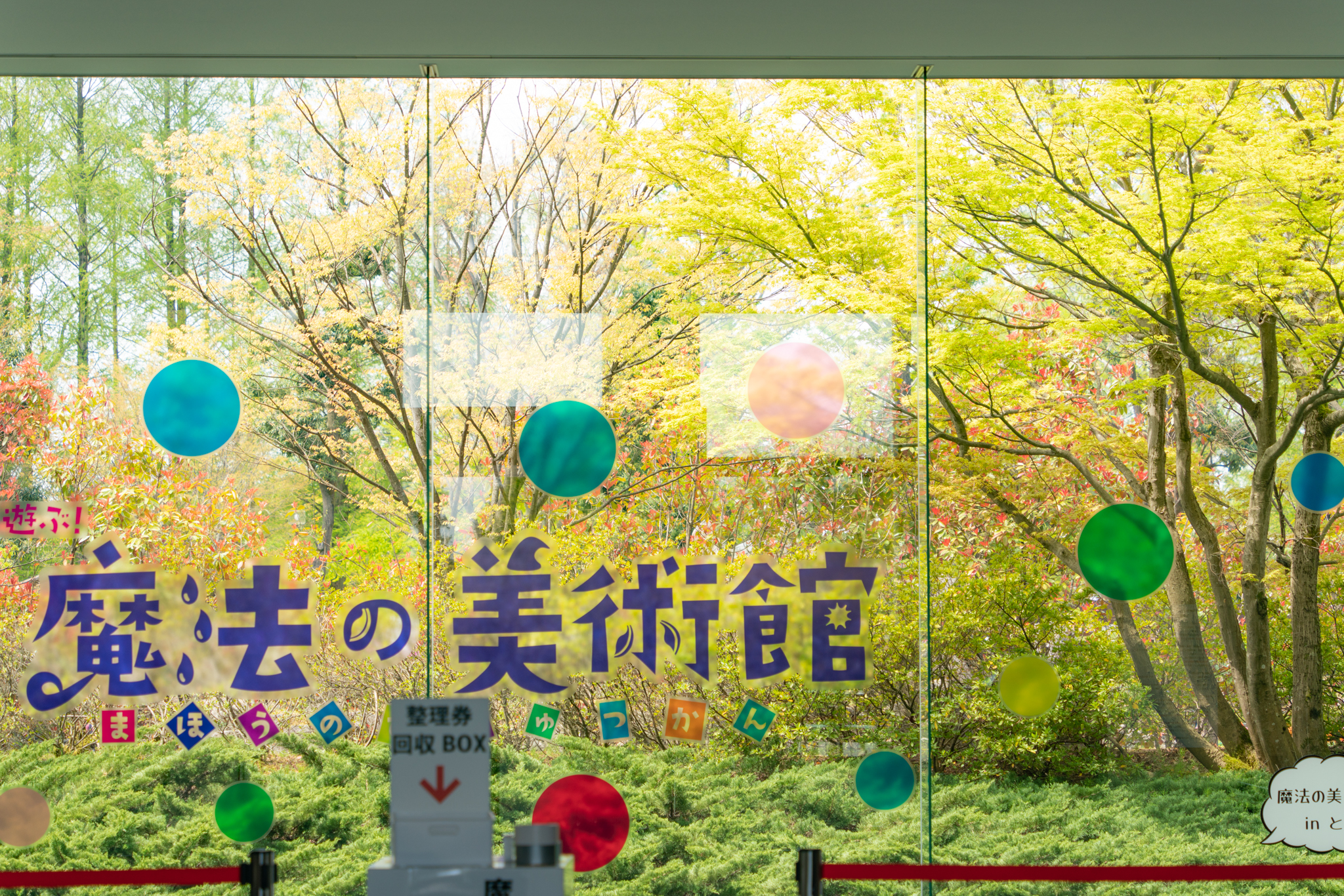 f:id:Paradisia:20210423163545j:plain