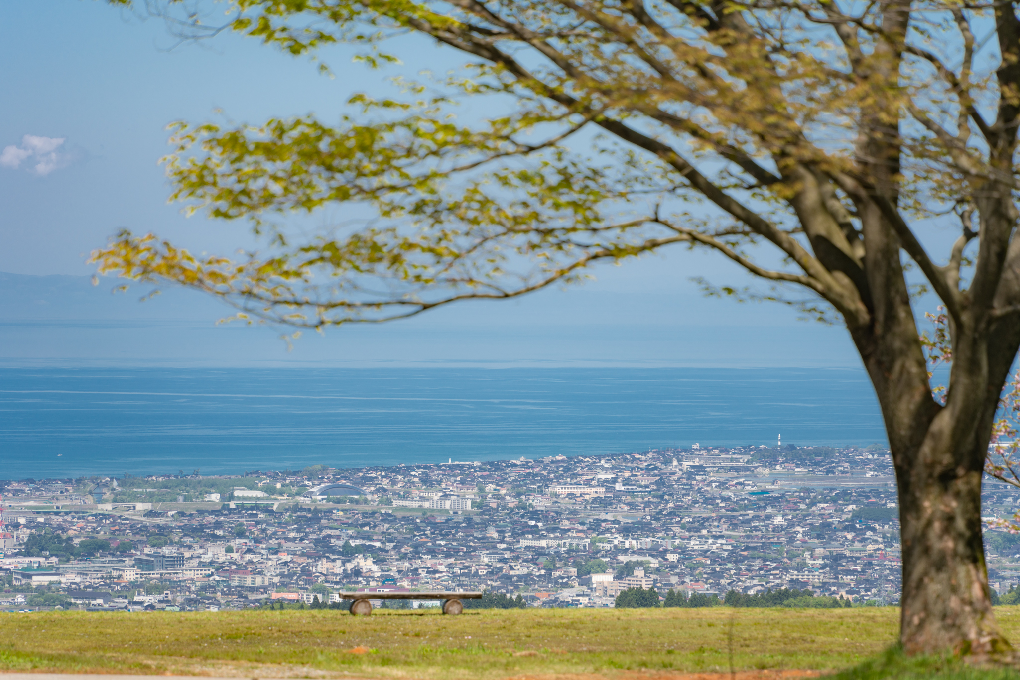 f:id:Paradisia:20210507120716j:plain