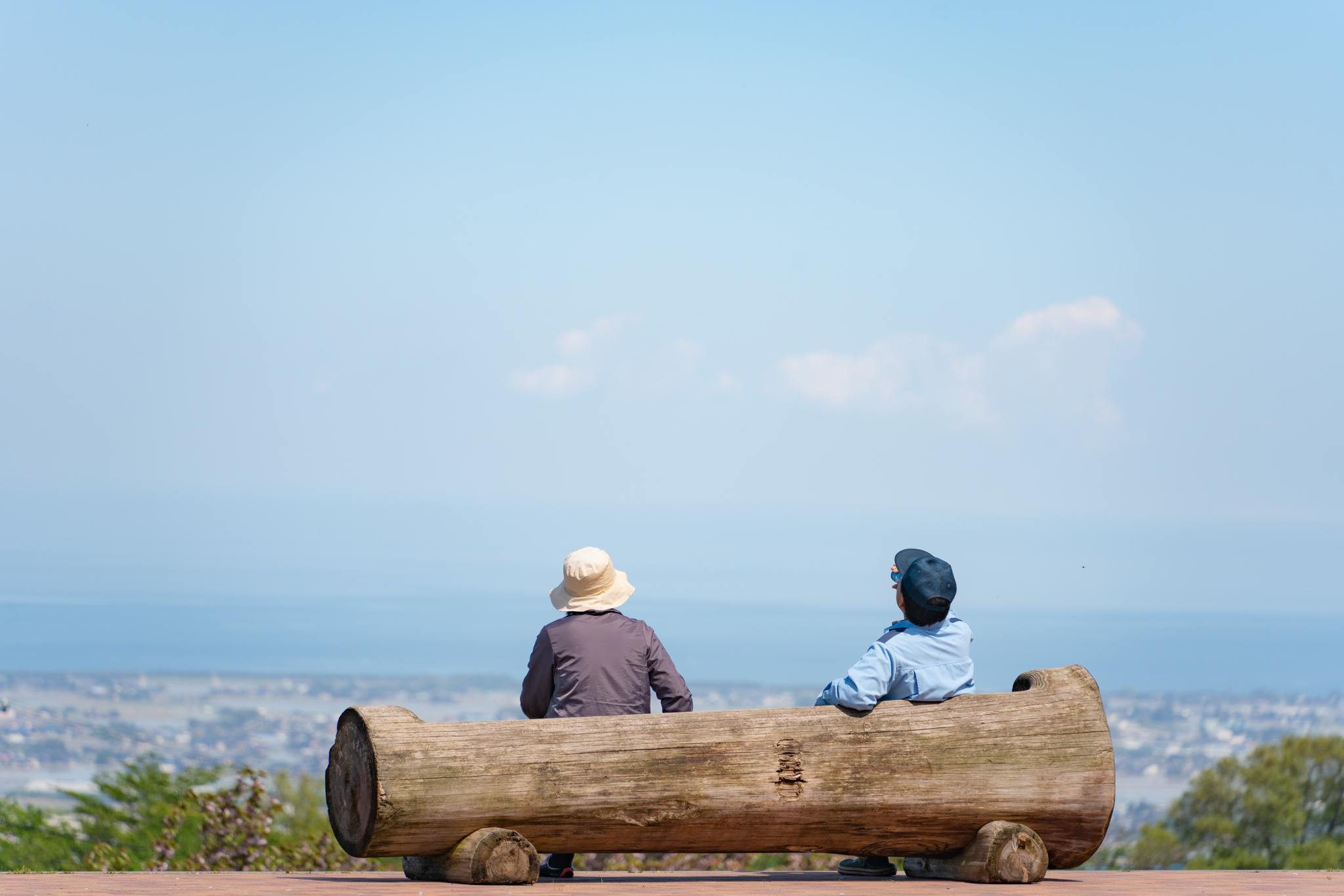 f:id:Paradisia:20210507121125j:plain