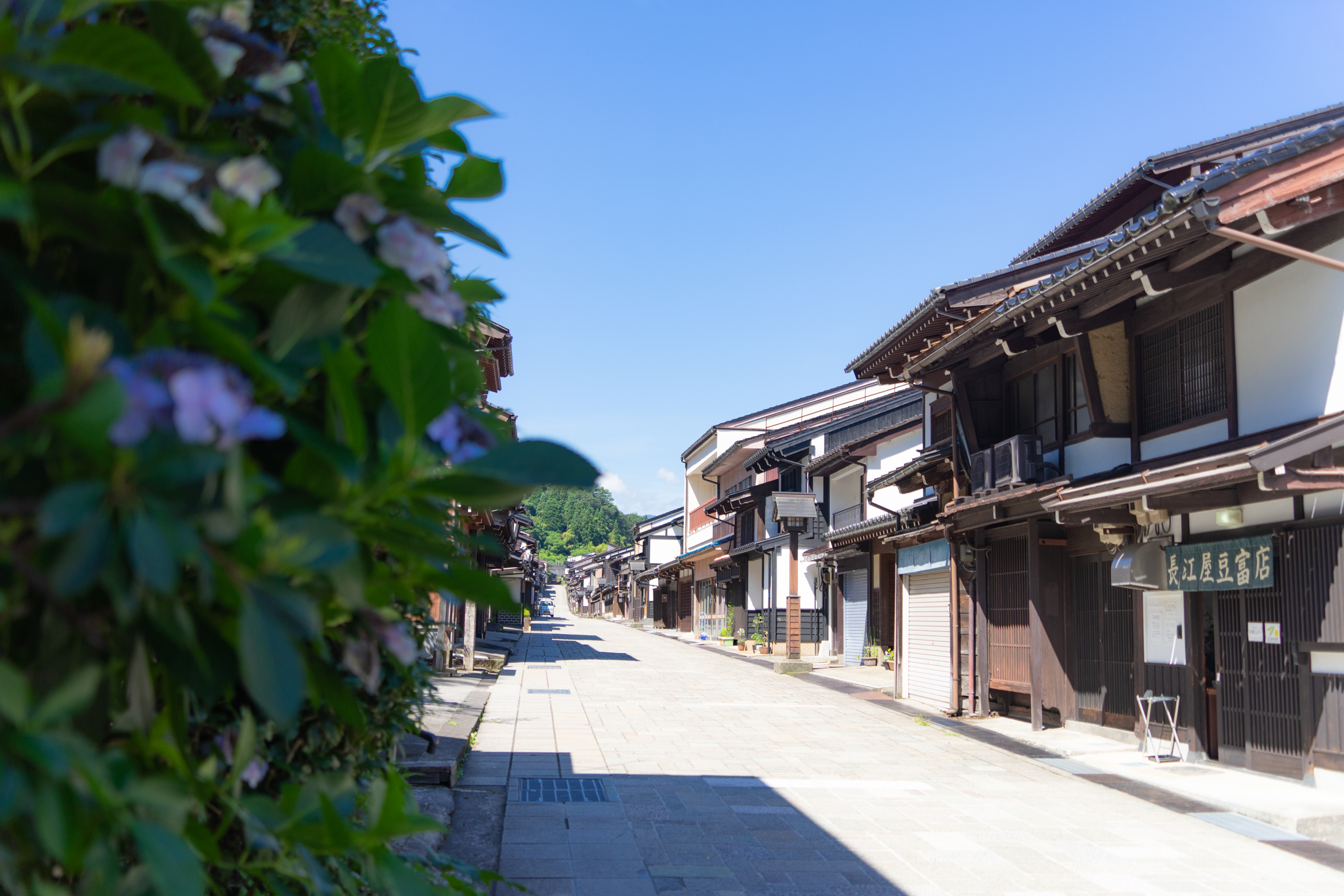 f:id:Paradisia:20210717113630j:plain