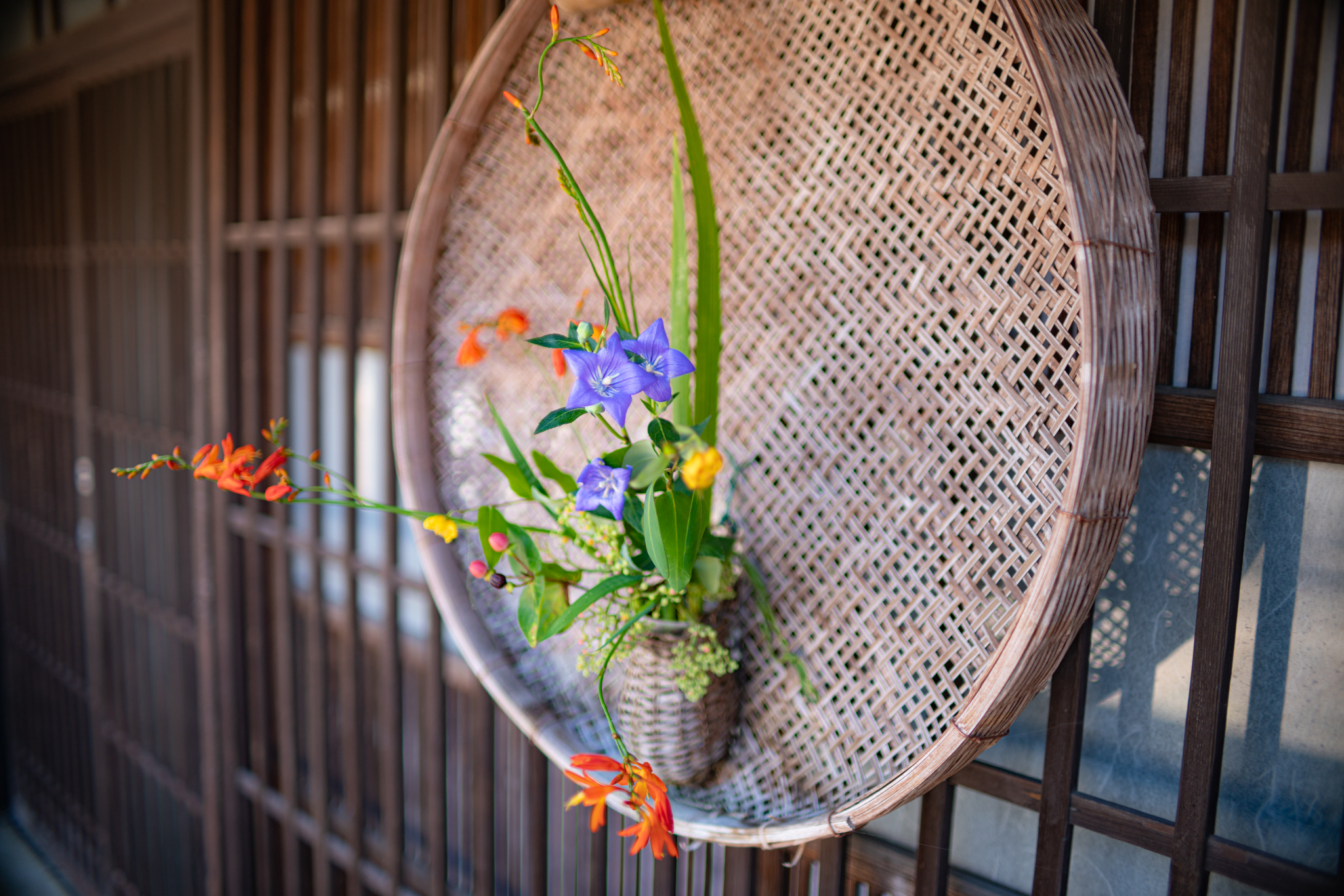 f:id:Paradisia:20210717113744j:plain