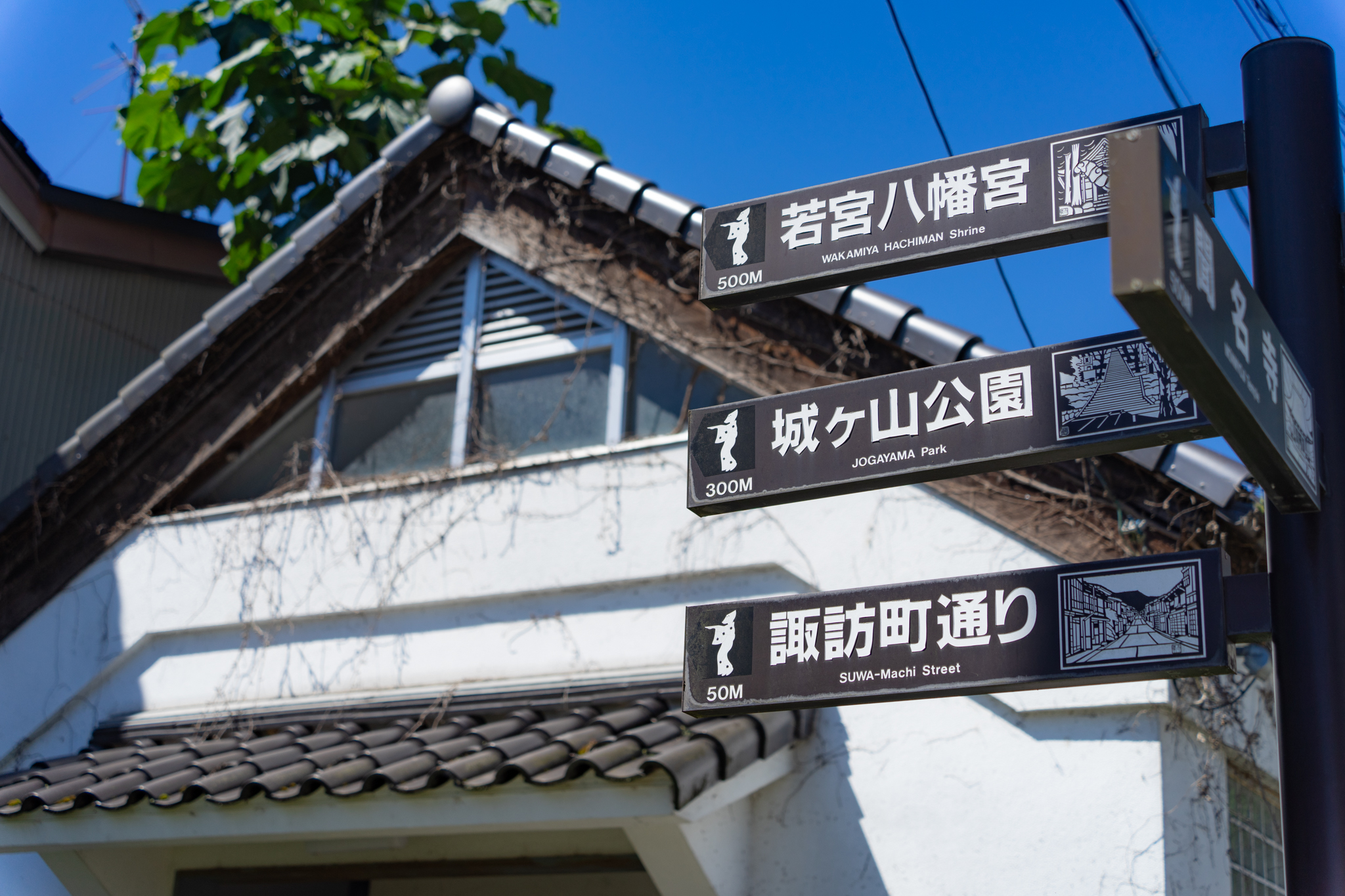 f:id:Paradisia:20210717113839j:plain