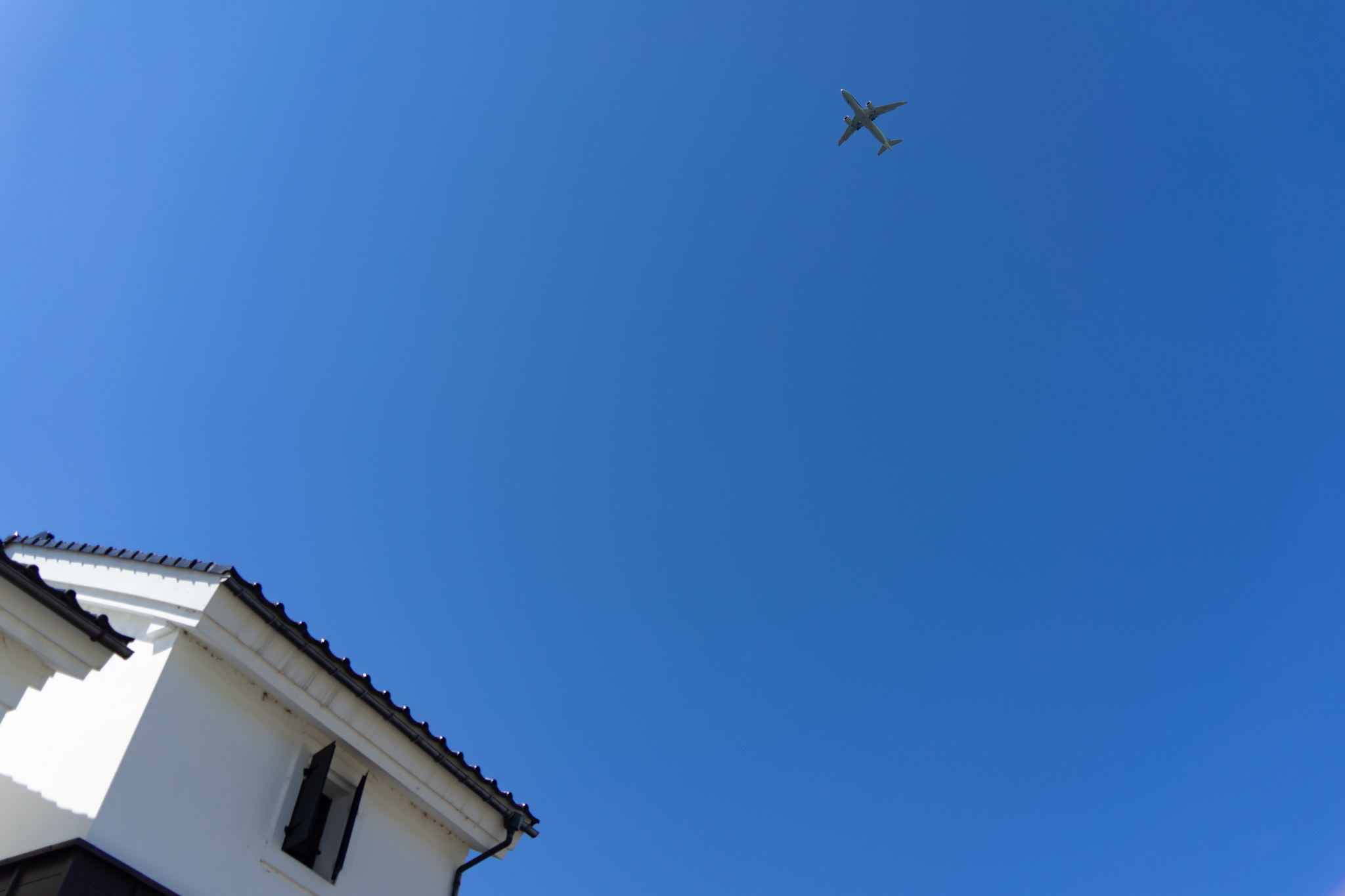 f:id:Paradisia:20210717113916j:plain