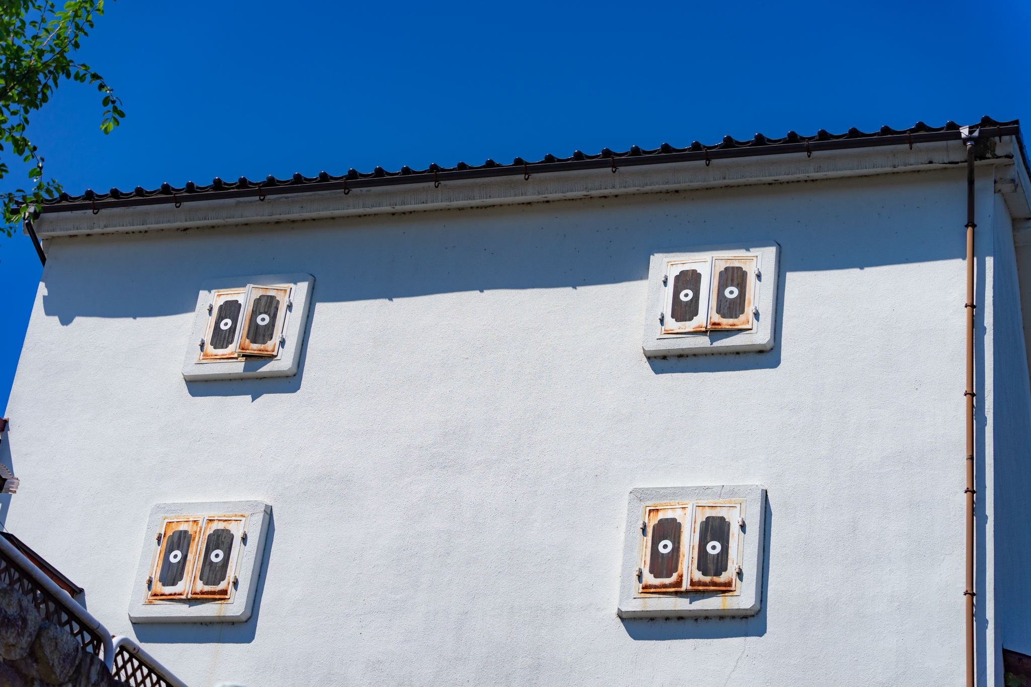 f:id:Paradisia:20210717113937j:plain