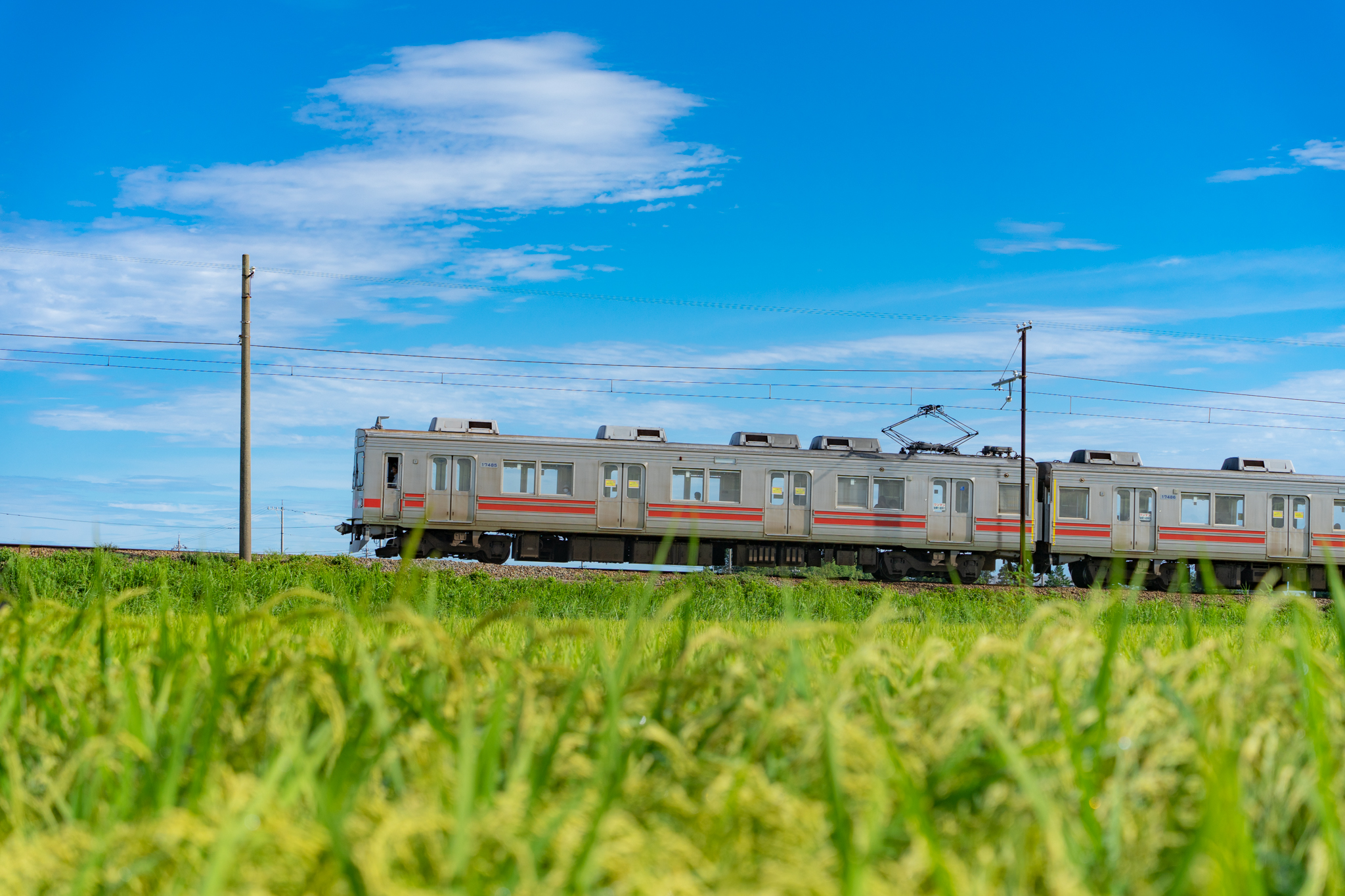 f:id:Paradisia:20210821103928j:plain