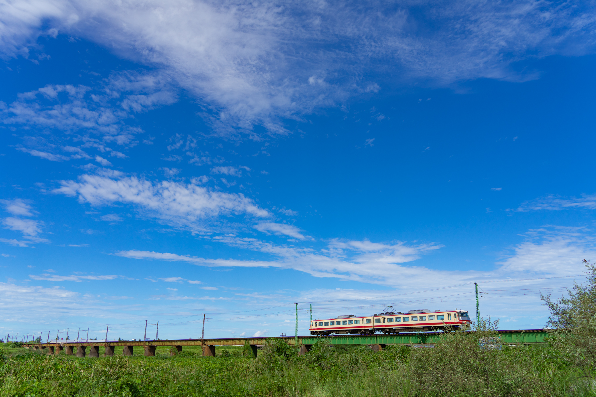 f:id:Paradisia:20210821104034j:plain