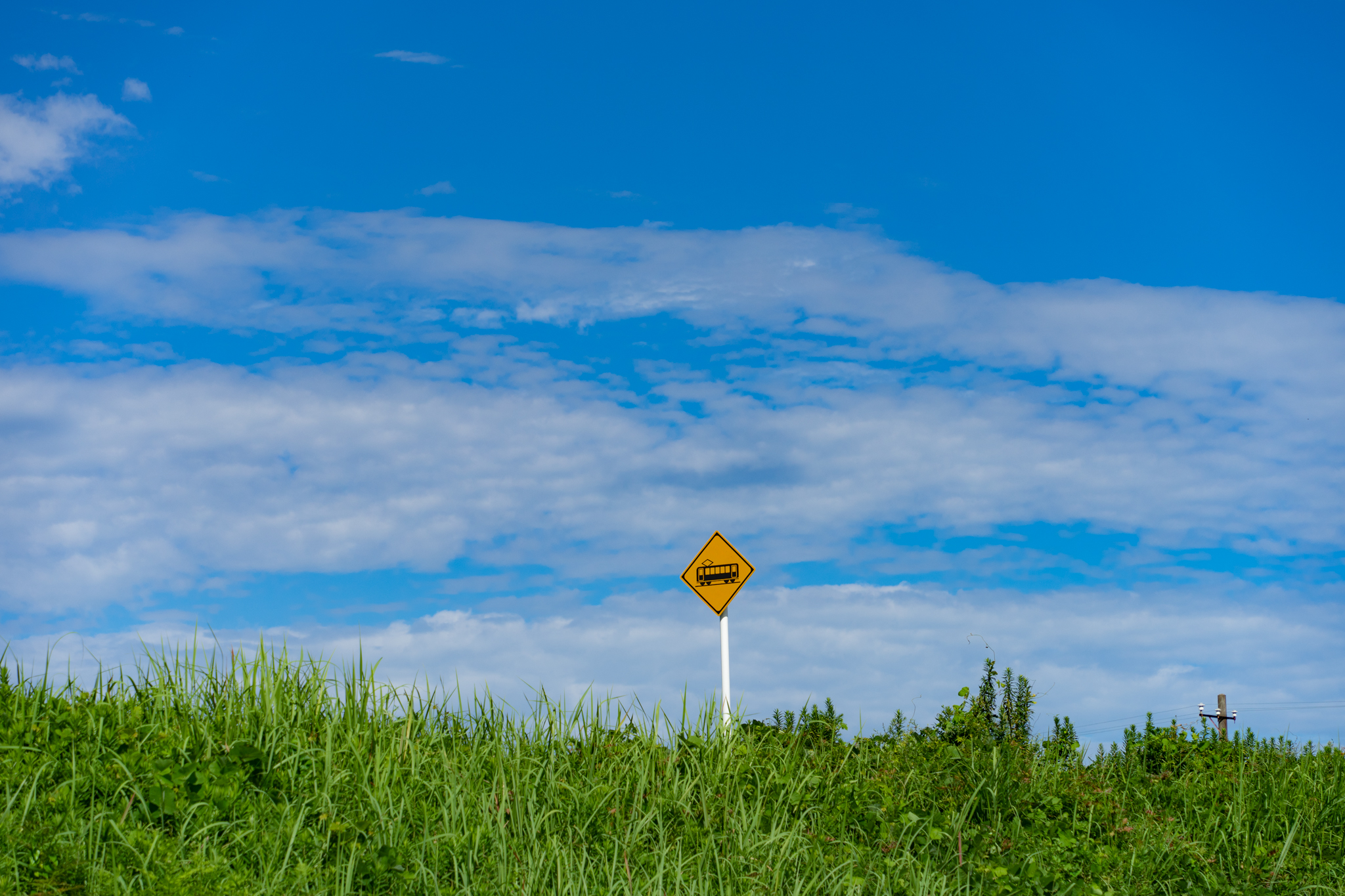 f:id:Paradisia:20210821104352j:plain