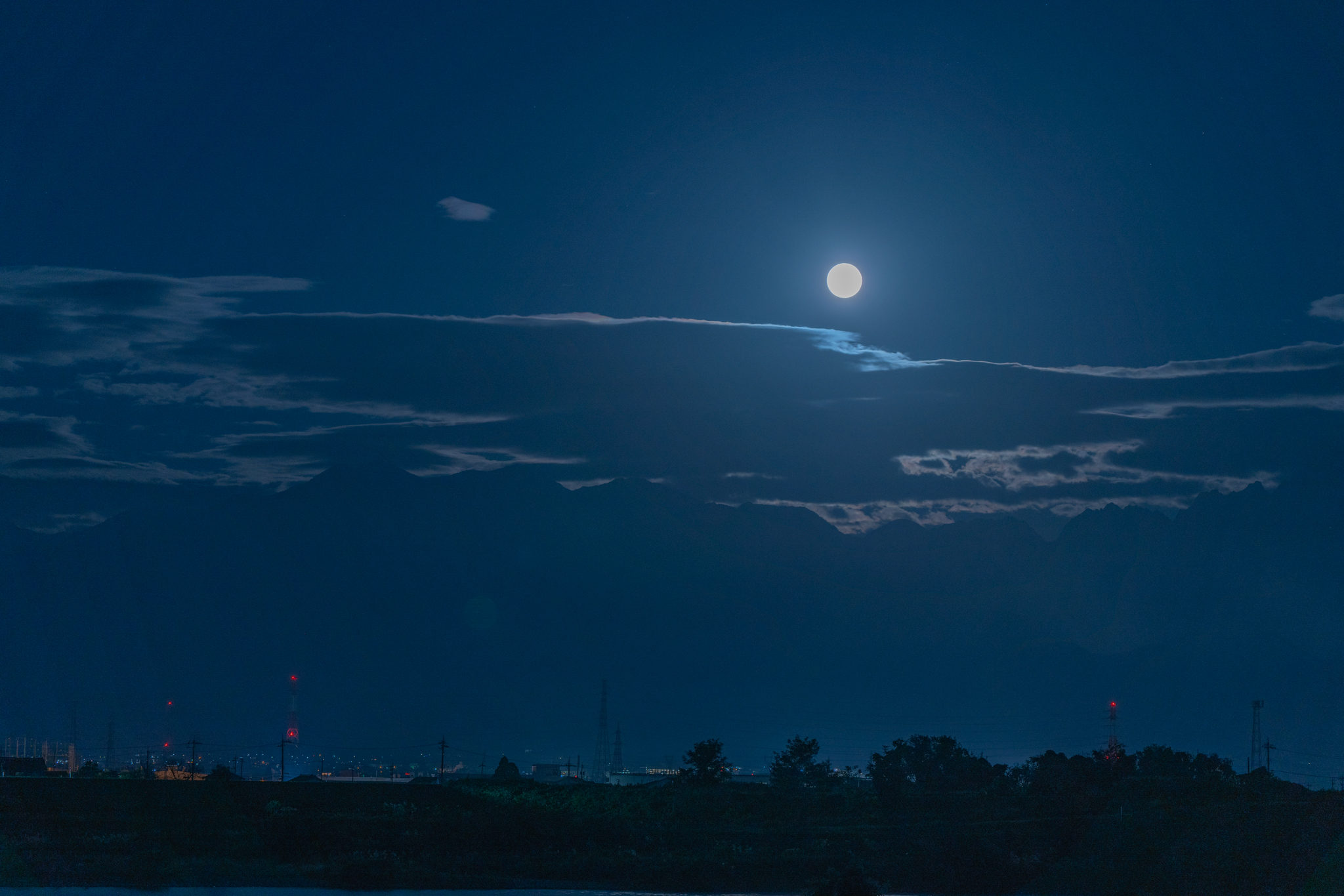 f:id:Paradisia:20210921194648j:plain