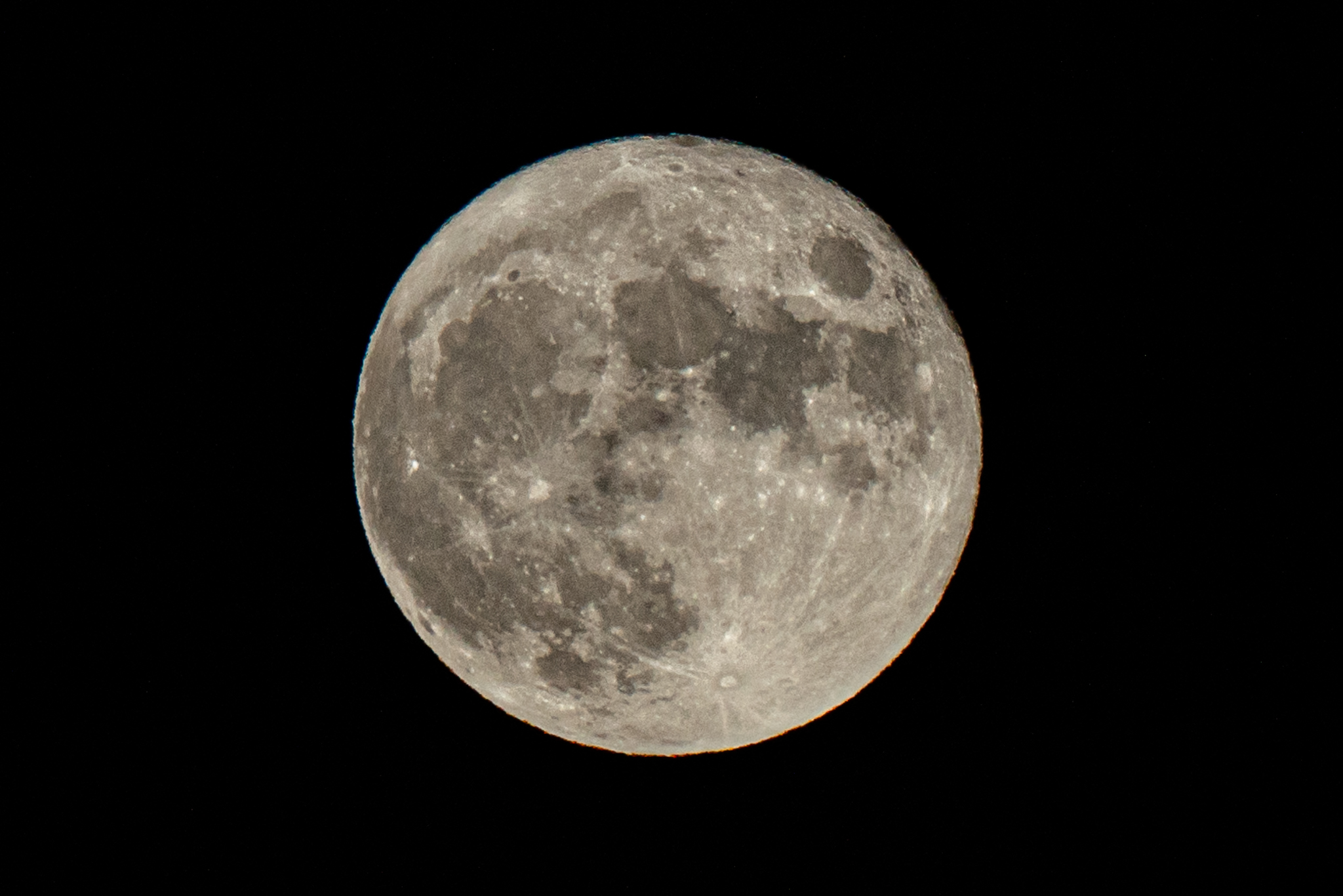 f:id:Paradisia:20210921194657j:plain