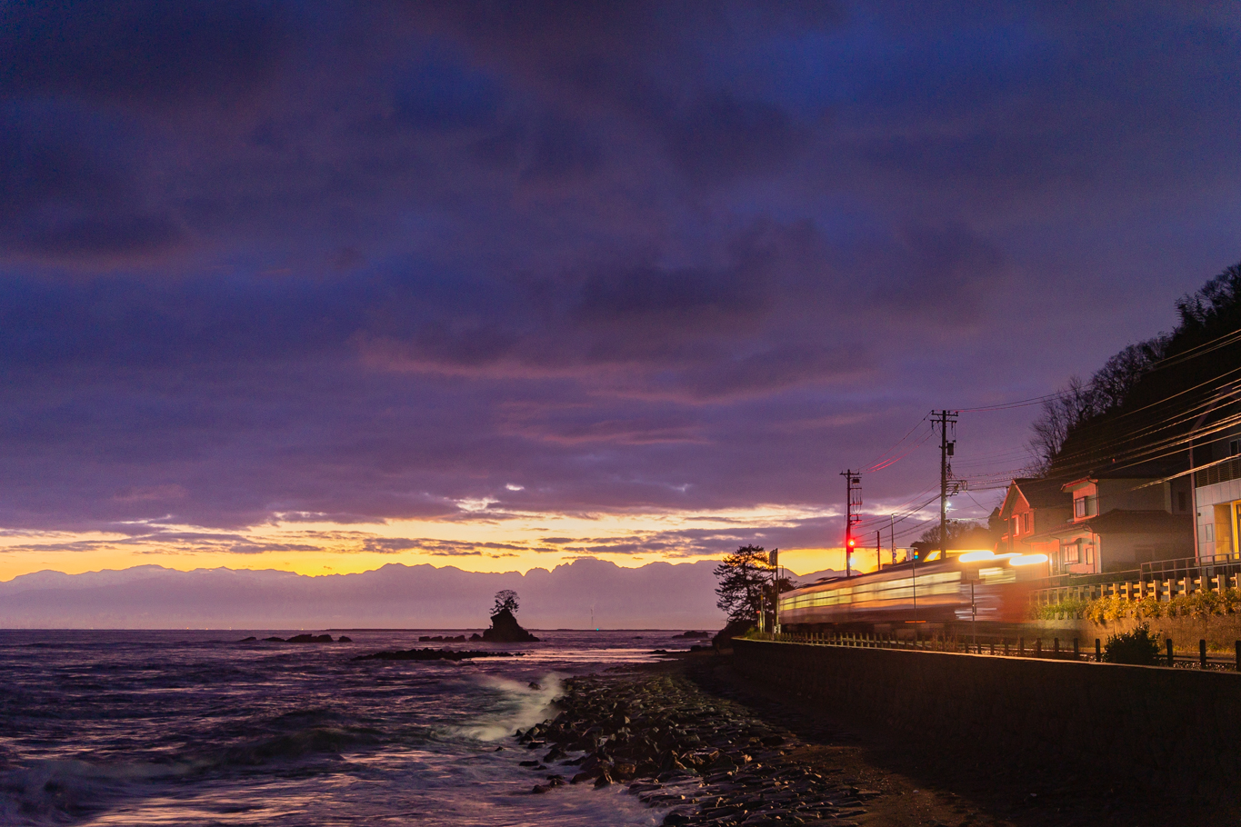 f:id:Paradisia:20211209160315j:plain