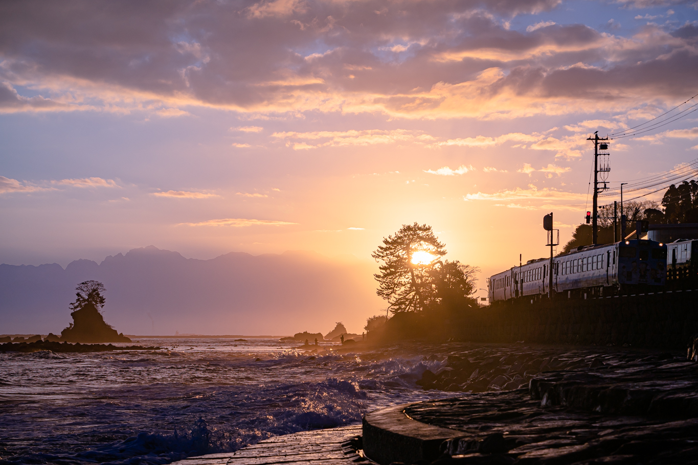 f:id:Paradisia:20211209160910j:plain