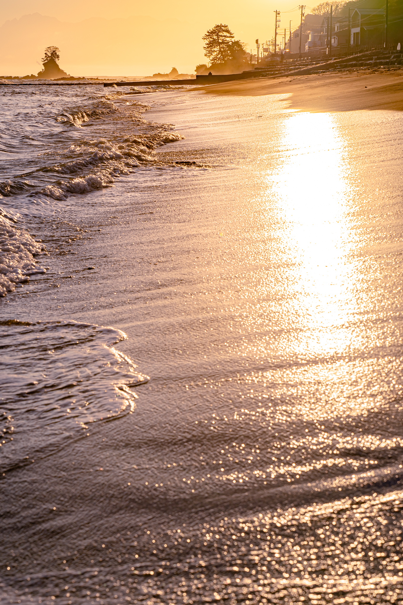 f:id:Paradisia:20211209161649j:plain