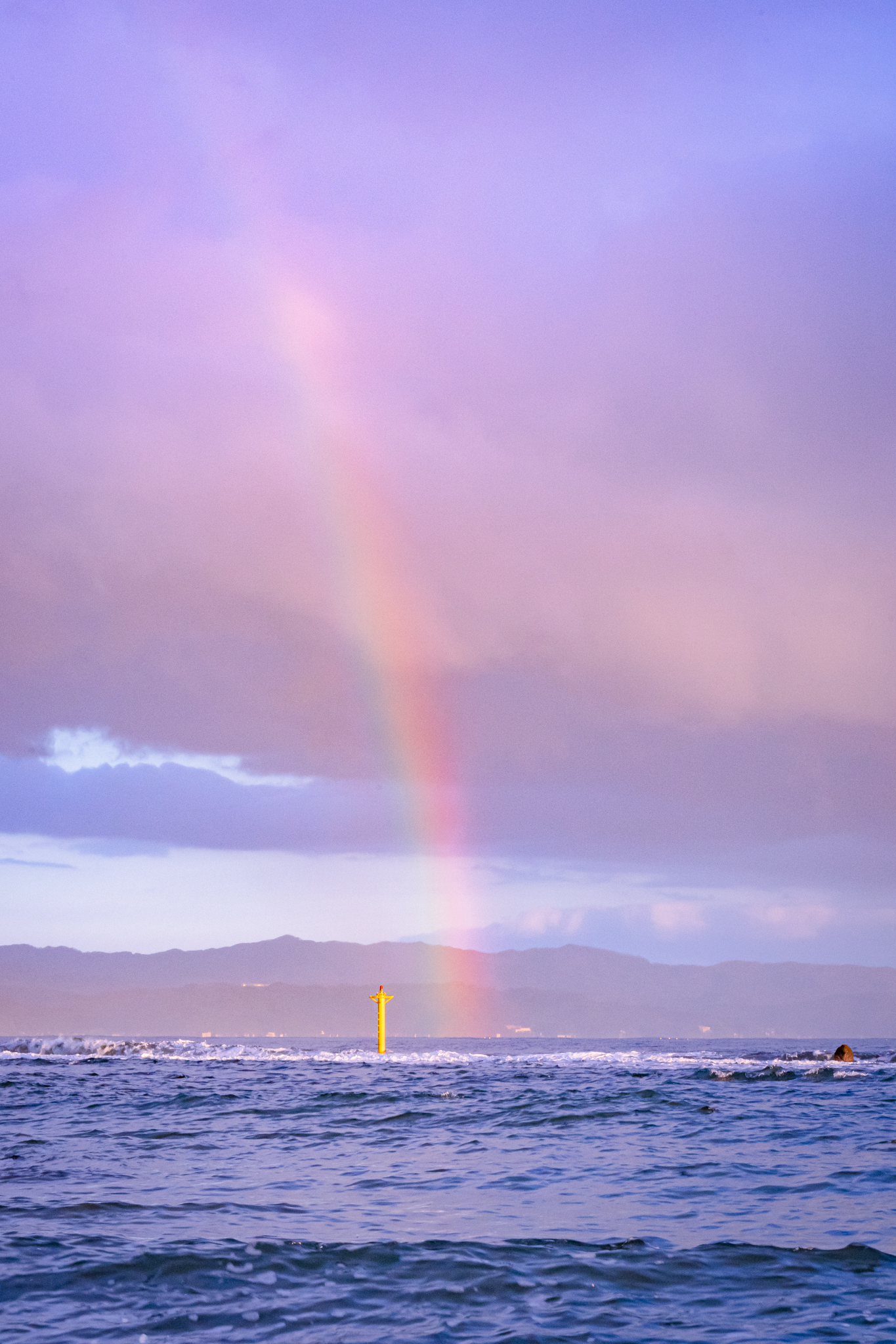 f:id:Paradisia:20211209162725j:plain