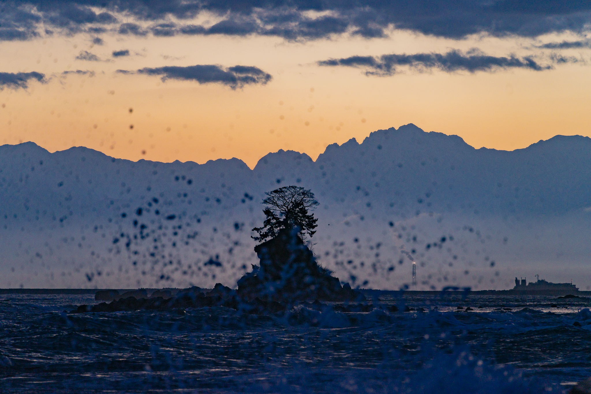 f:id:Paradisia:20211209162957j:plain