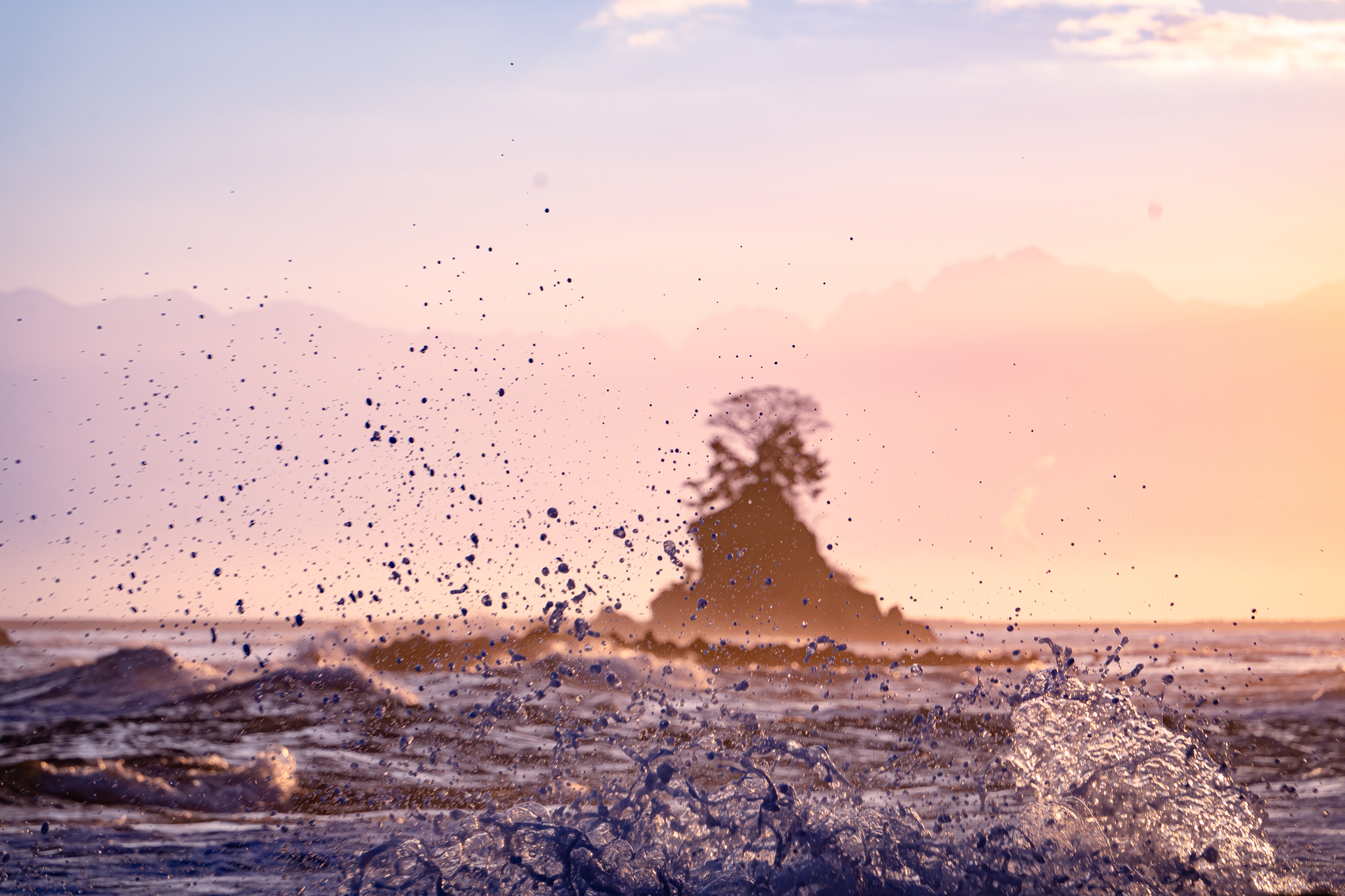 f:id:Paradisia:20211209163907j:plain