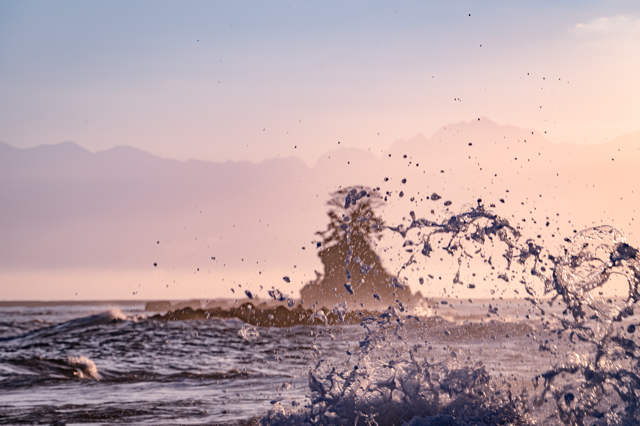 f:id:Paradisia:20211209163930j:plain