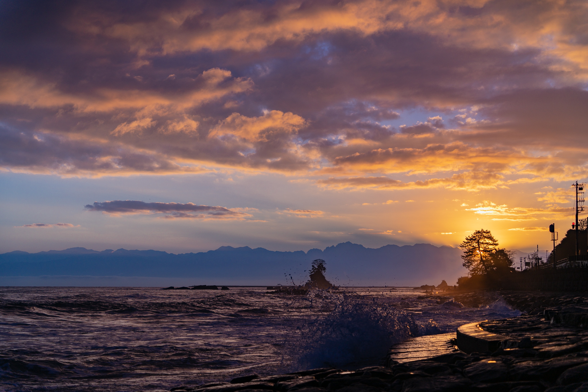 f:id:Paradisia:20211209164245j:plain