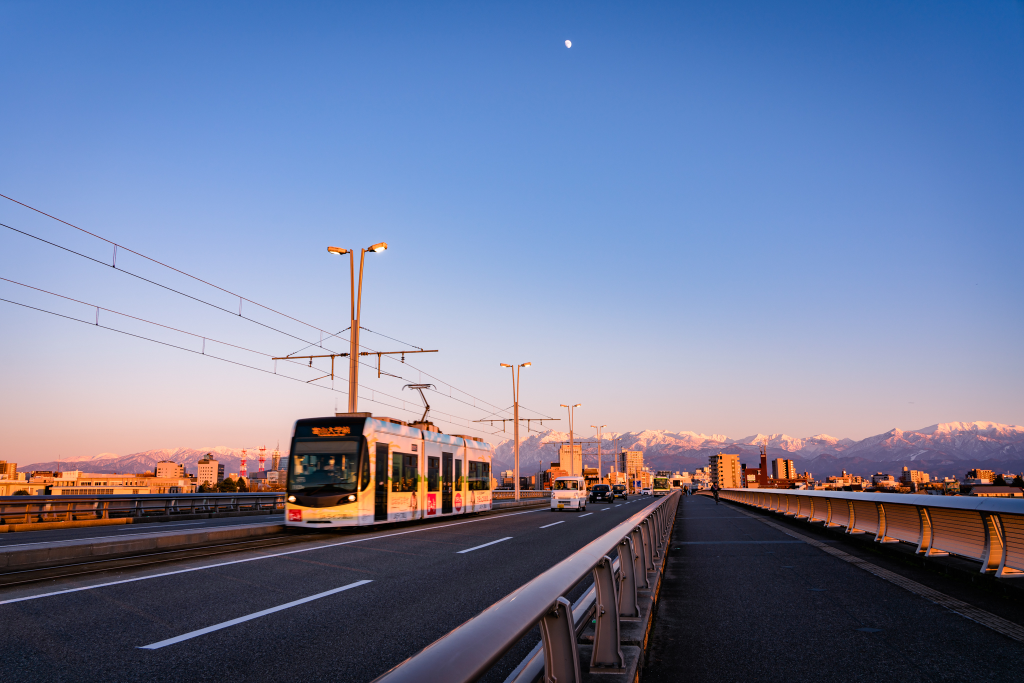 f:id:Paradisia:20211214190351j:plain