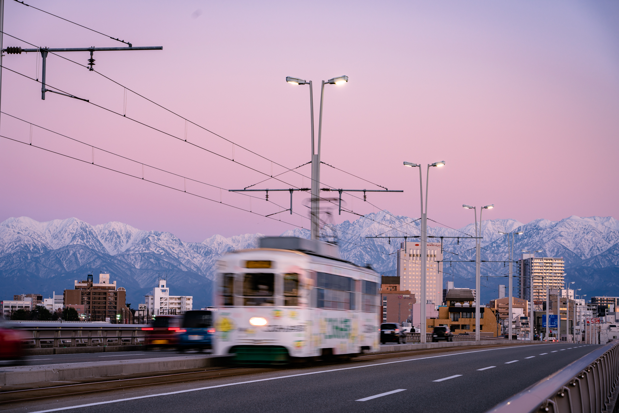 f:id:Paradisia:20211214190628j:plain