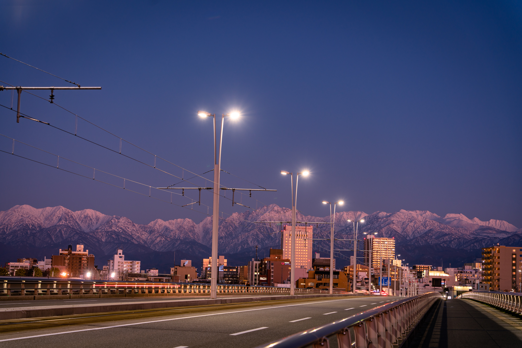 f:id:Paradisia:20211214191040j:plain