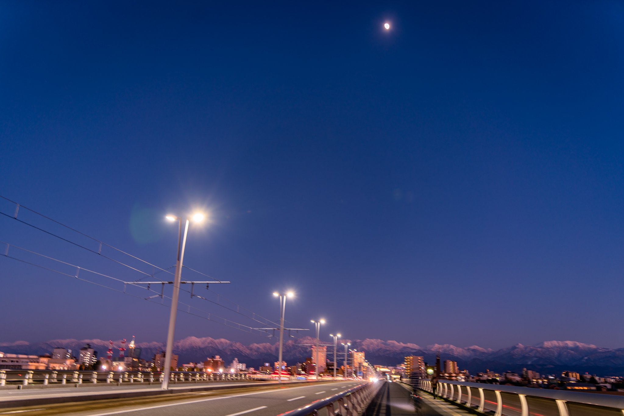 f:id:Paradisia:20211214191316j:plain