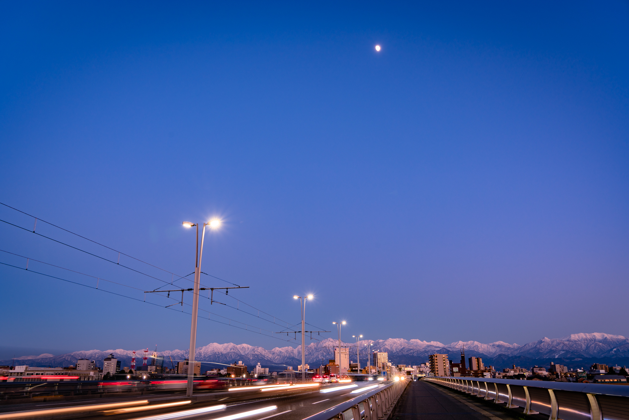 f:id:Paradisia:20211214191851j:plain