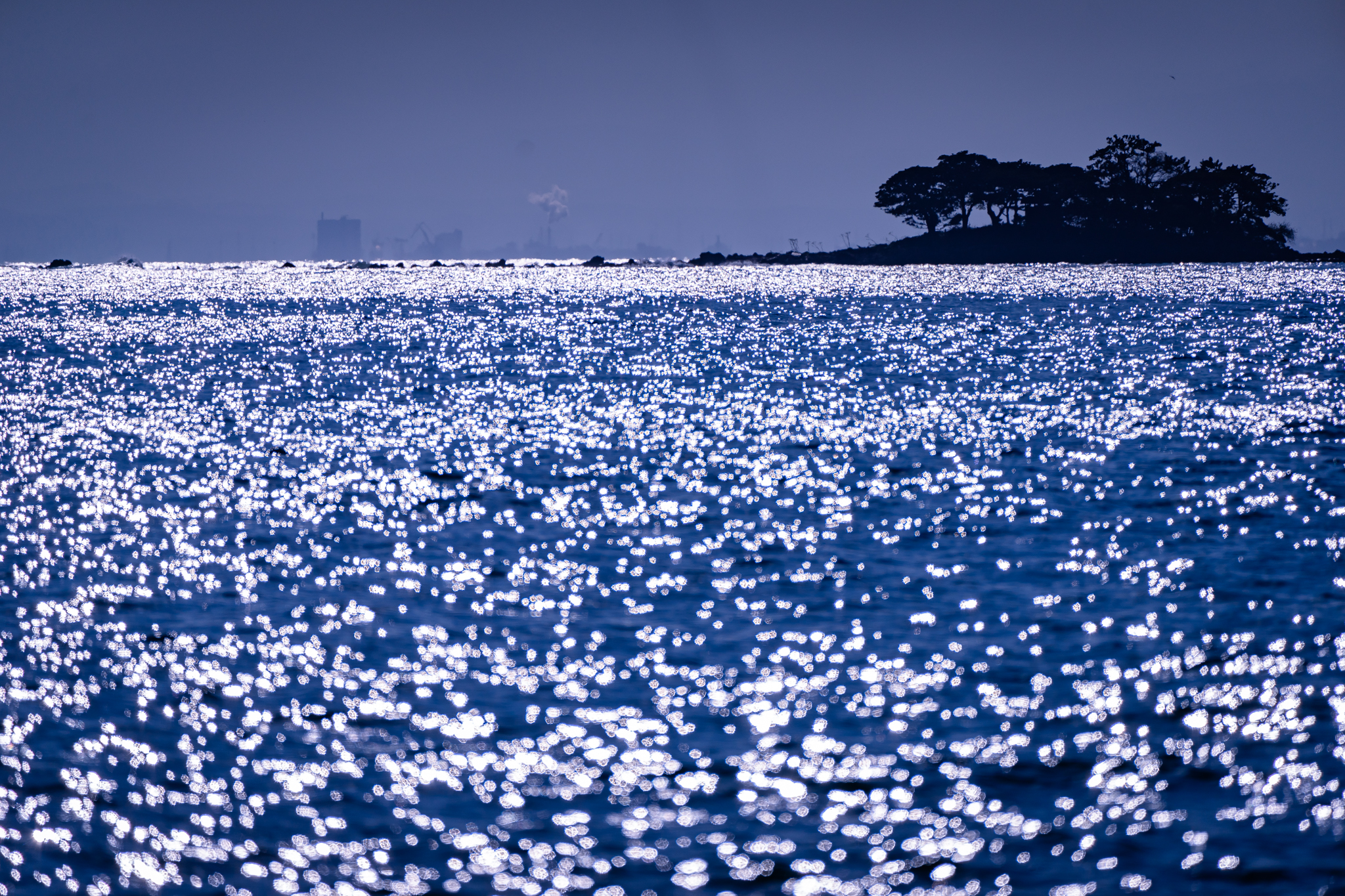 f:id:Paradisia:20211223164936j:plain